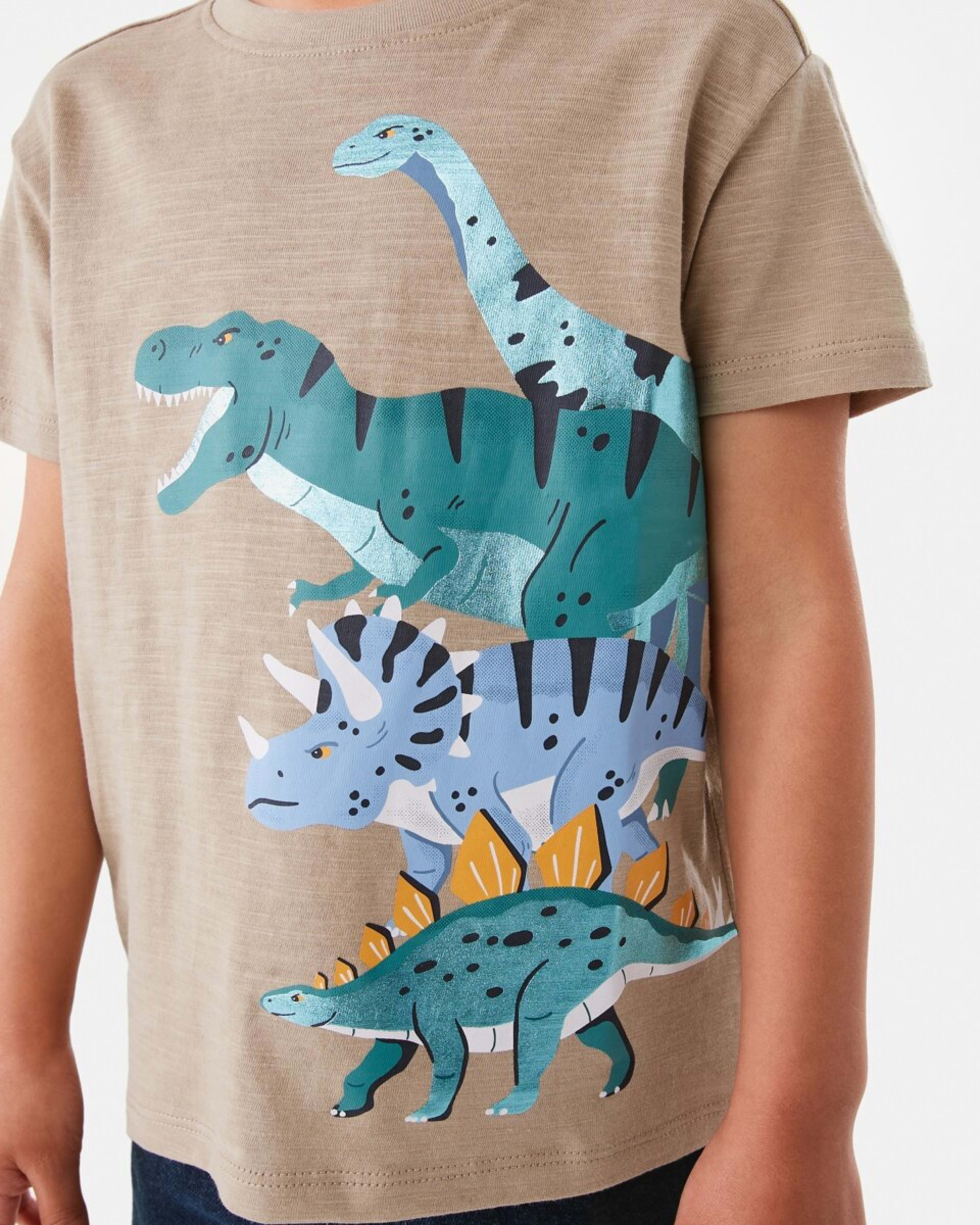 4 Foil Print T-shirt Tan Dinos, 4 of 8