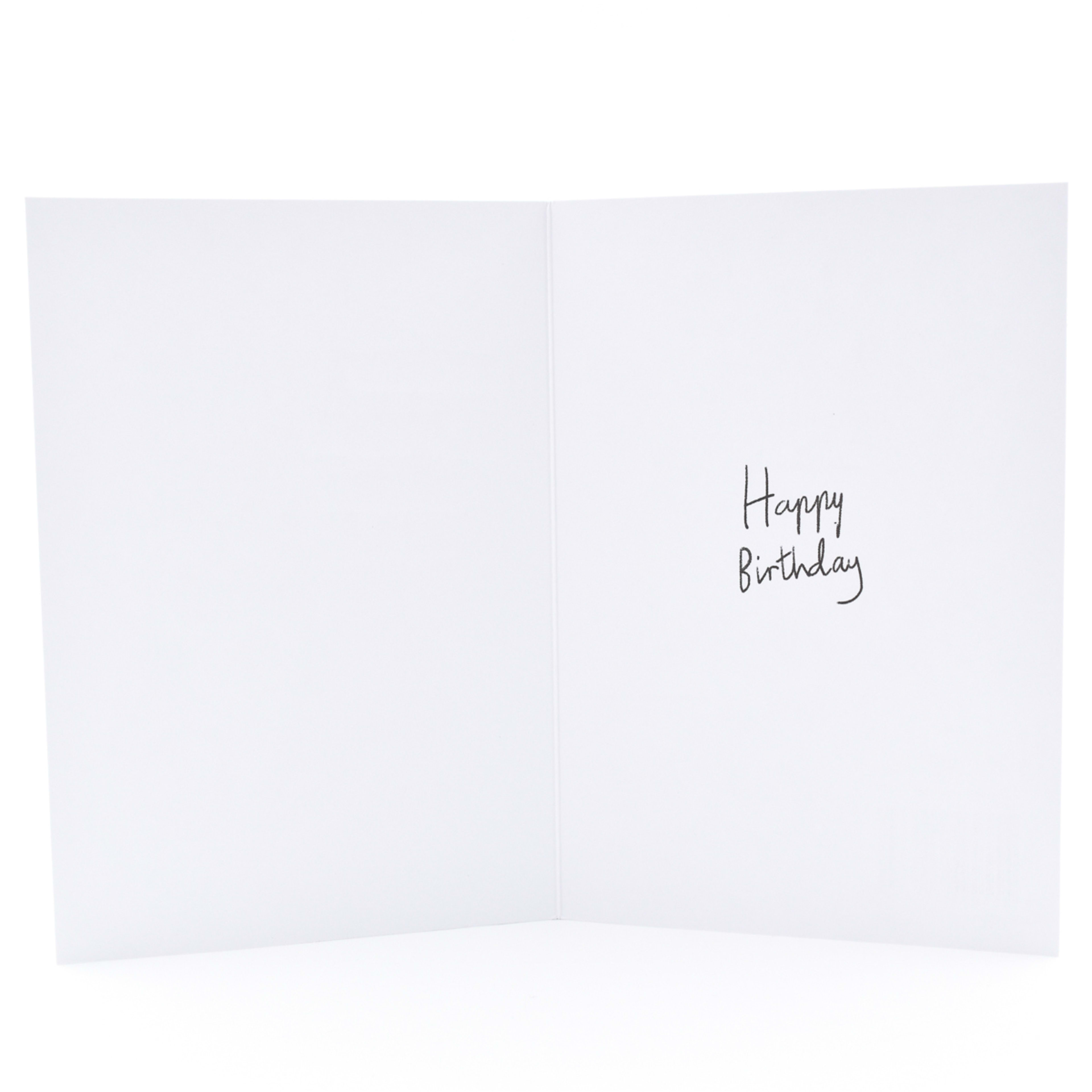 3 Hallmark Birthday Card For Dad - Kittens, 3 of 3