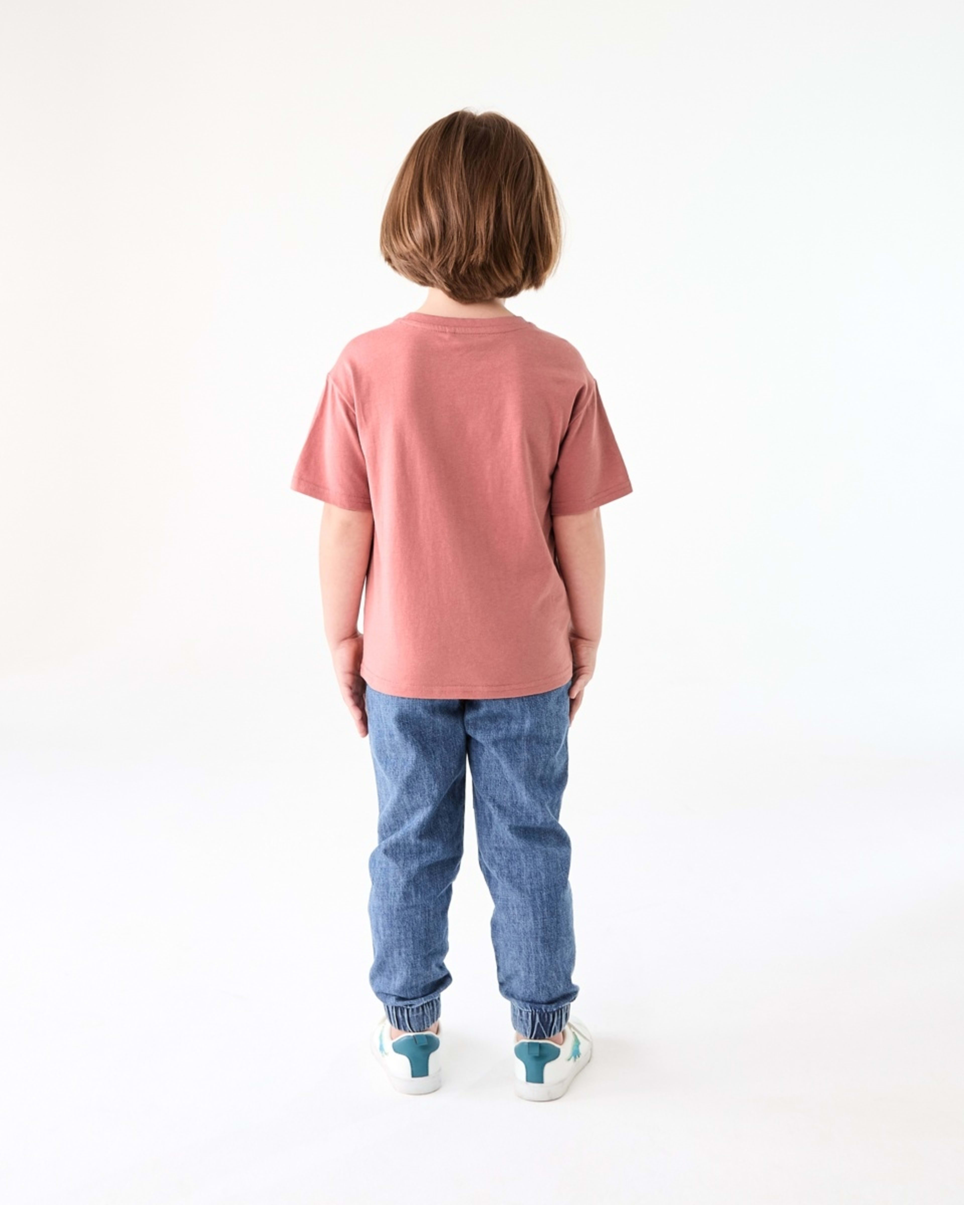 6 Chest Print T-shirt WAVE CHASERS WASHED CLAY, 6 of 6