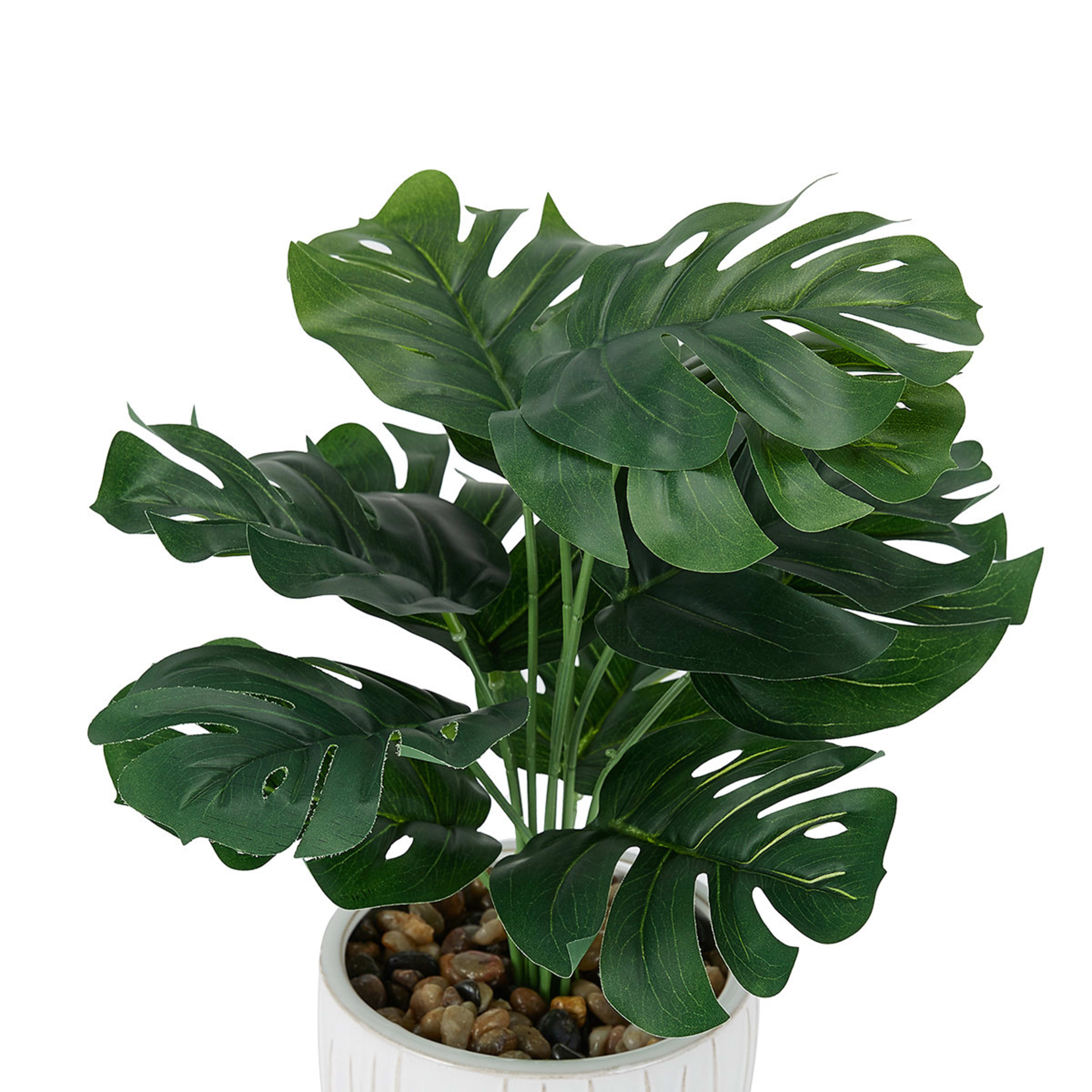 Artificial Monstera in Ceramic Pot Kmart