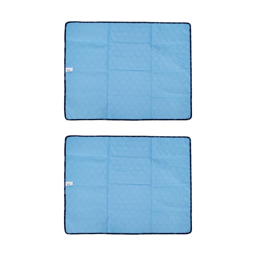 2 Pack Reusable Puppy Pads Printed Kmart