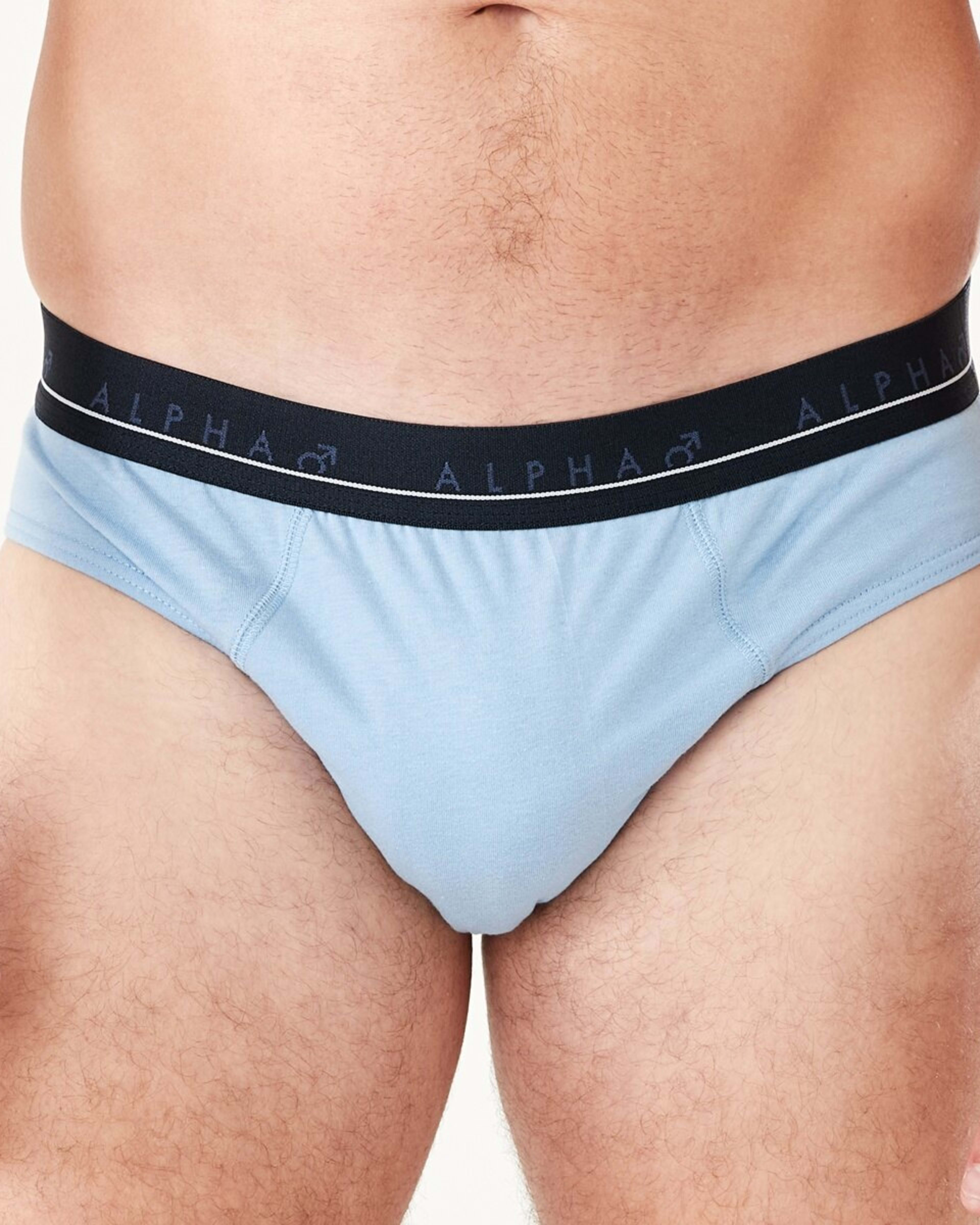 3 5 Pack Attached Elastic Hipster Briefs CLASSICAL, 3 of 10