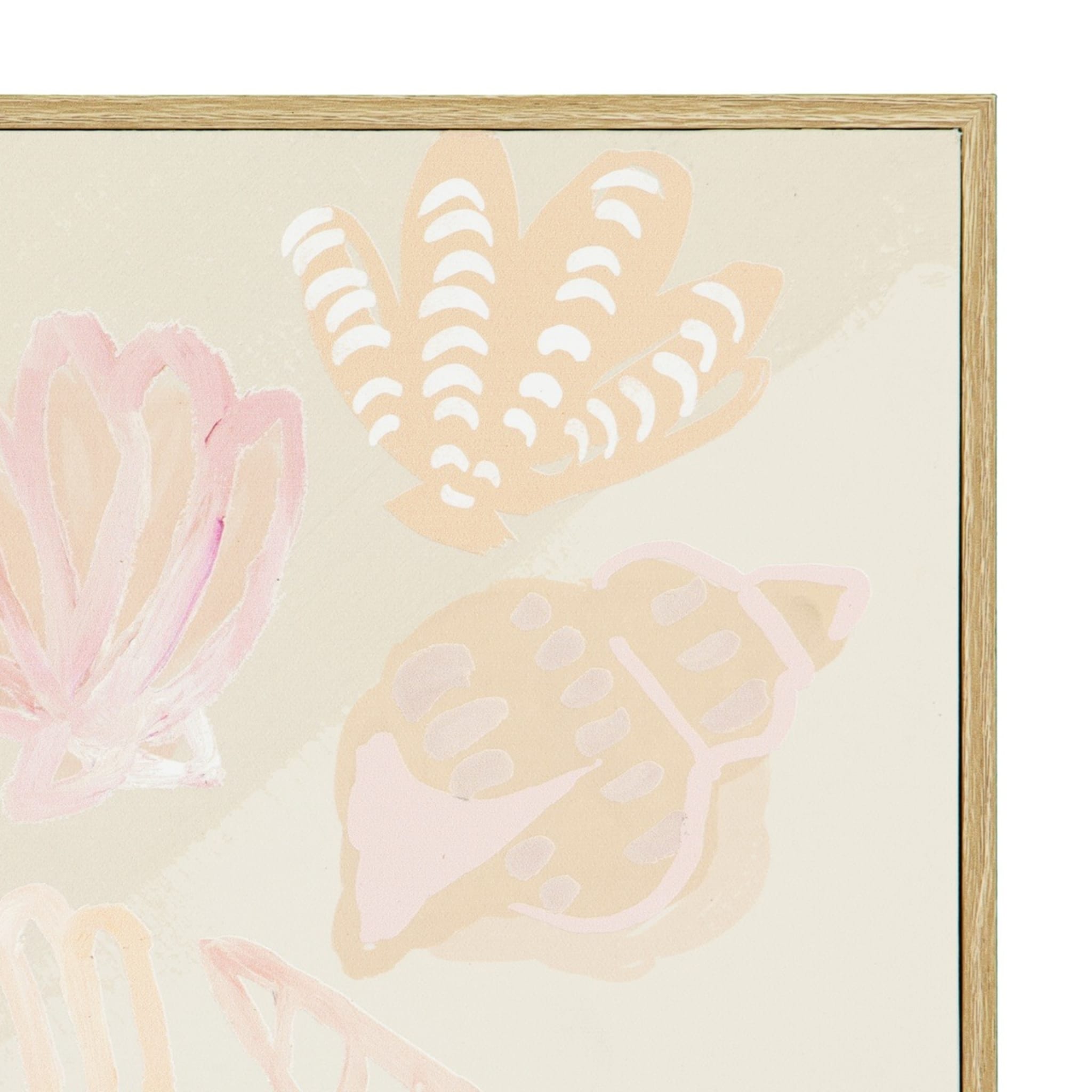 Sea Shells Framed Canvas Kmart