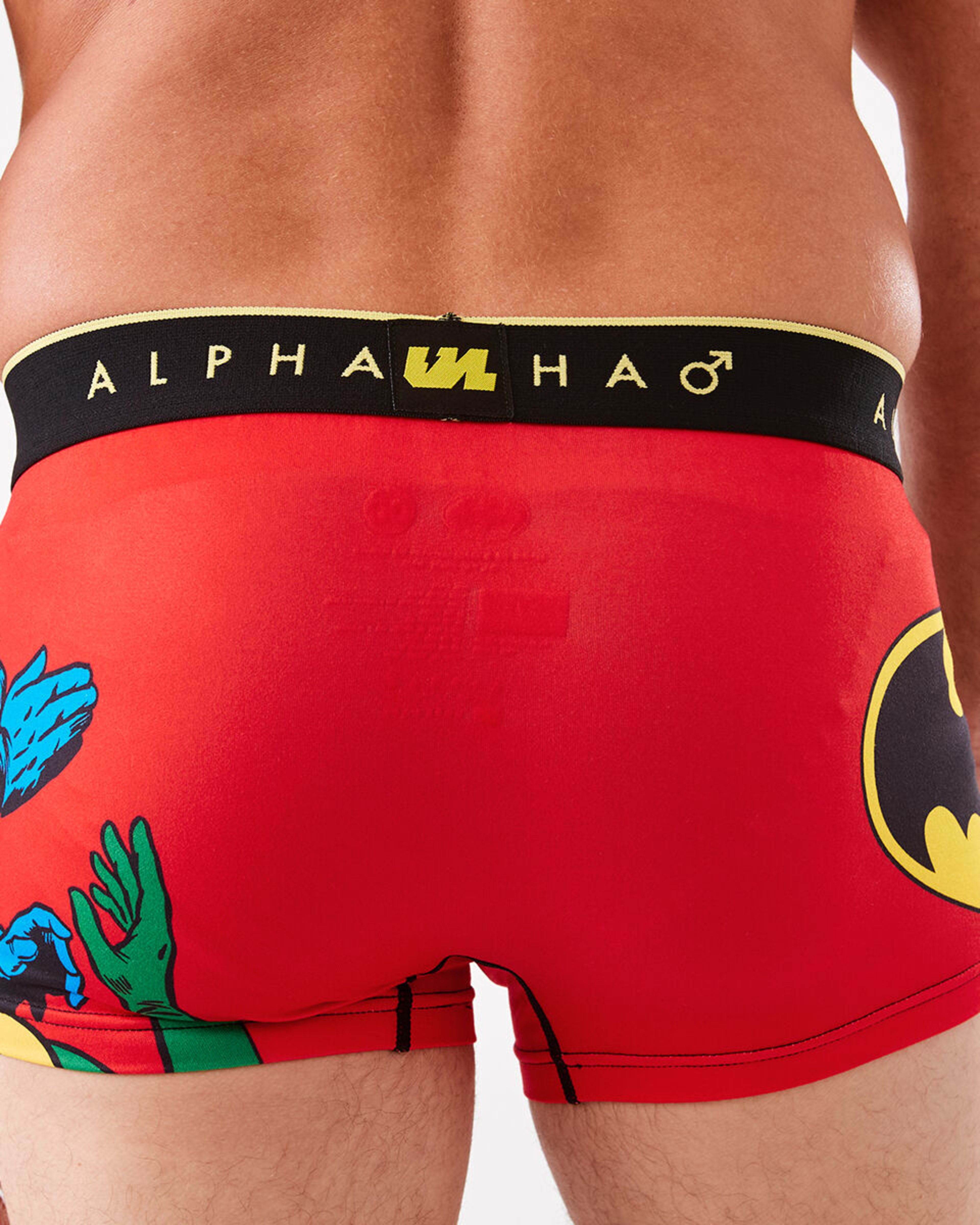 3 License Print Trunks Batman, 3 of 6
