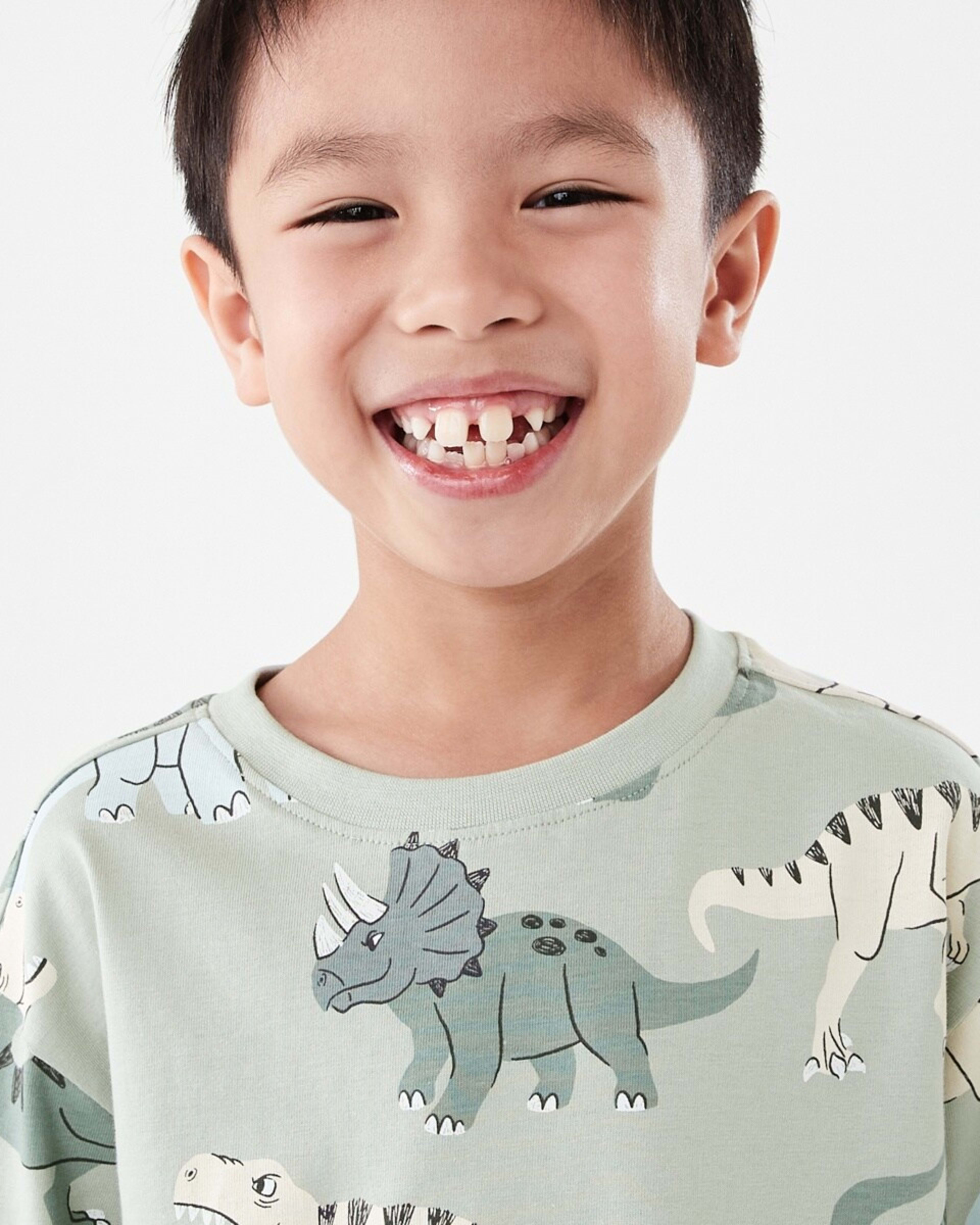 3 All Over Print T-shirt CRANKY DINOS AQUA GREY, 3 of 6