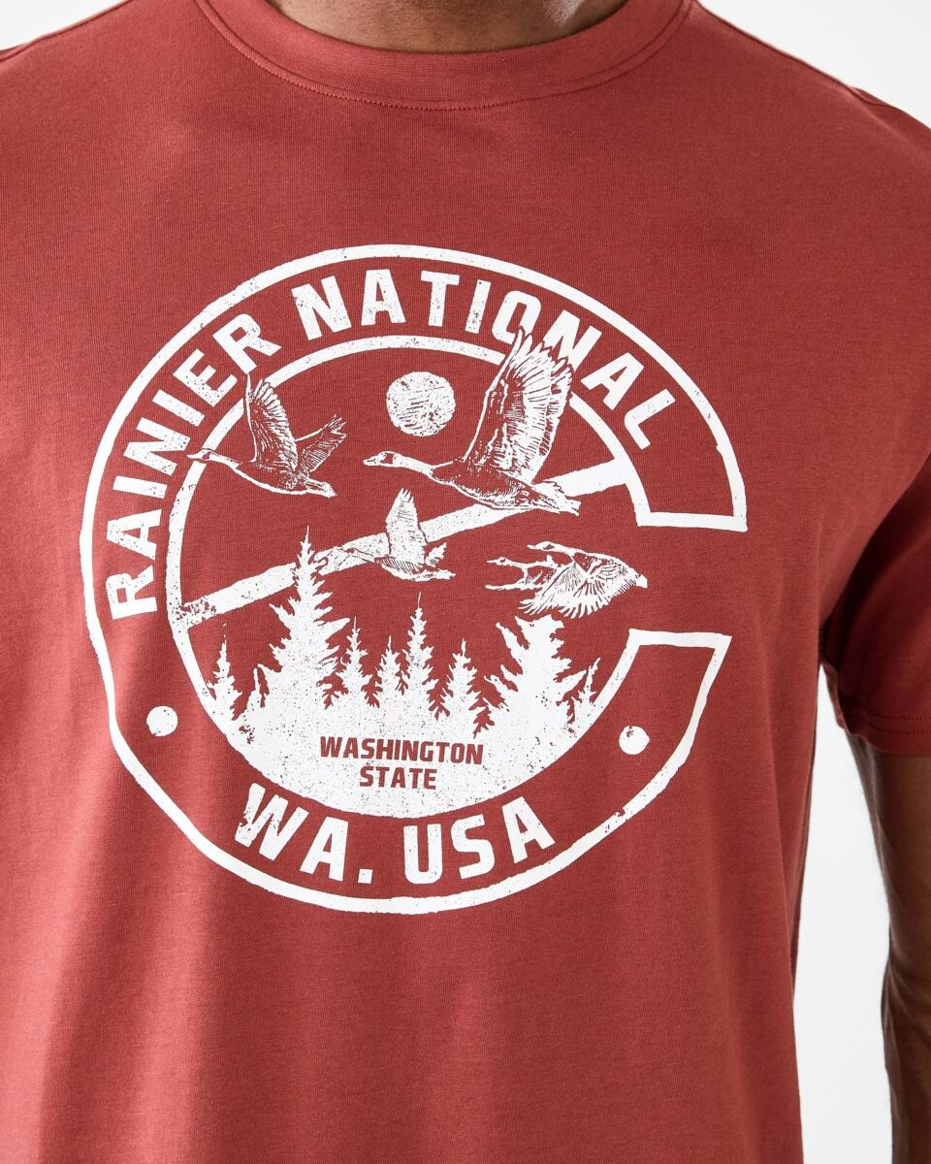 5 Print T-shirt Red Nutmeg, 5 of 5