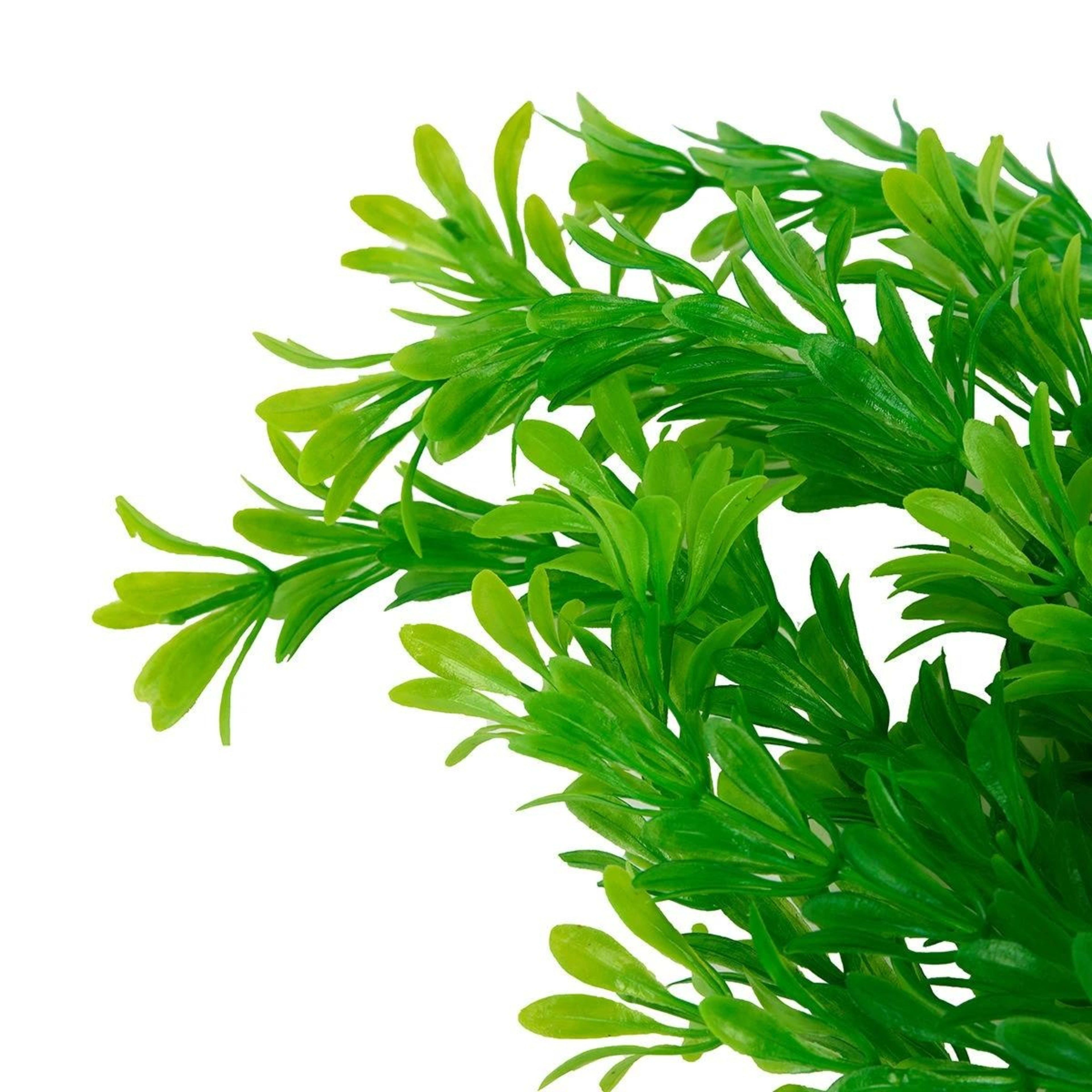 5 2 Pack Aquarium Plants Natural, 5 of 6