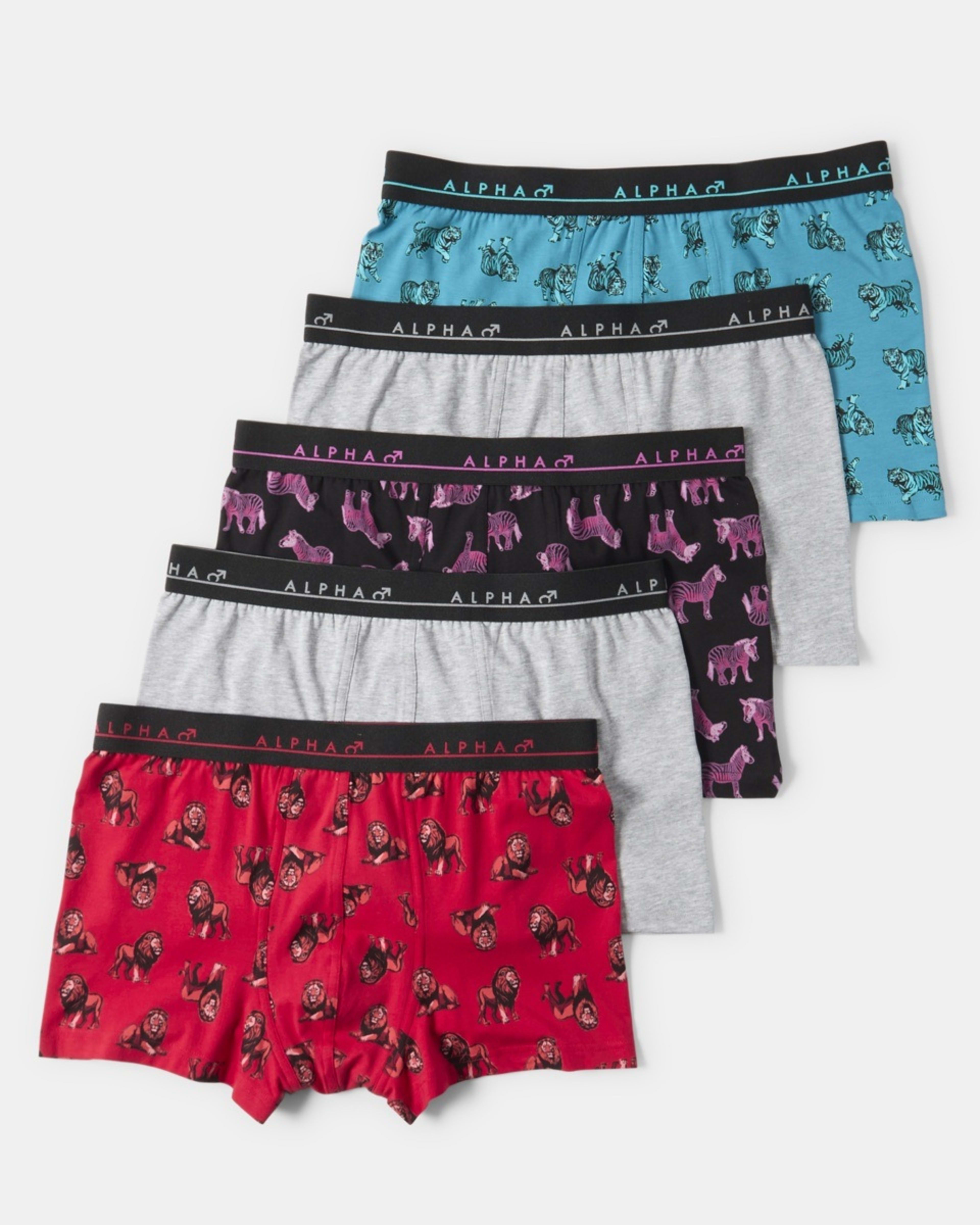 1 5 Pack Trunks BIG JUNGLE ANIMALS, 1 of 10
