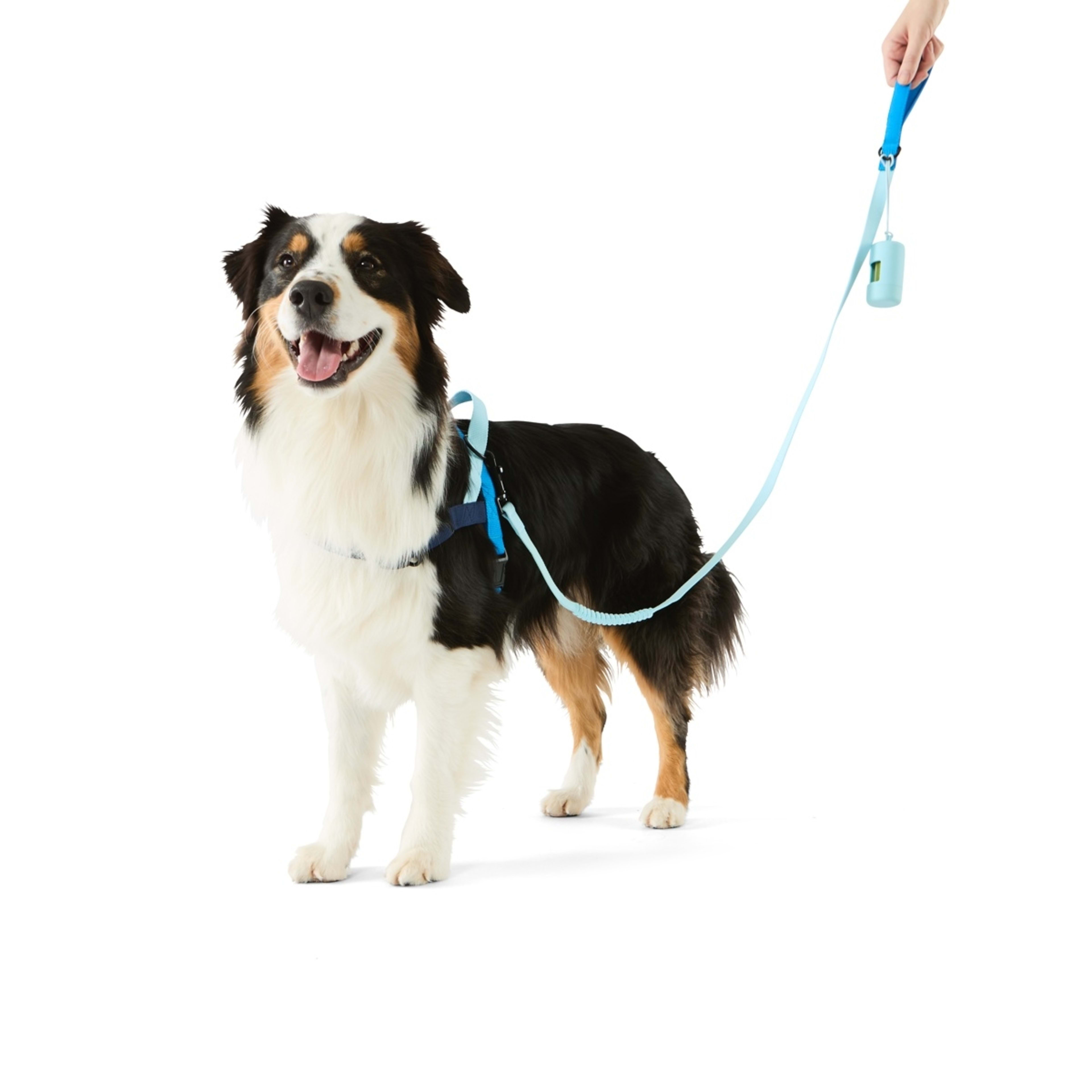1 Pet Walking Set - Blue, Large