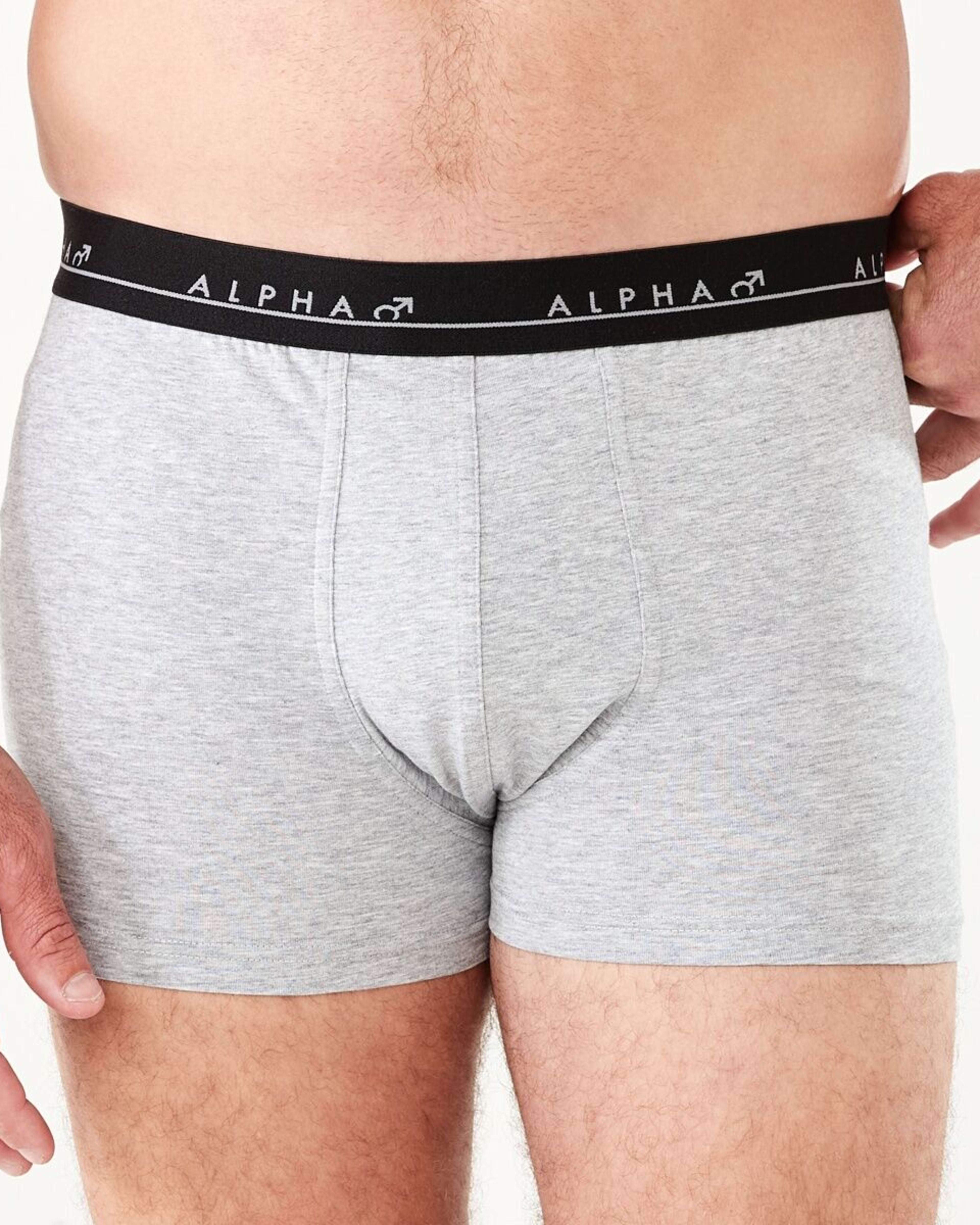 5 5 Pack Trunks BIG JUNGLE ANIMALS, 5 of 10