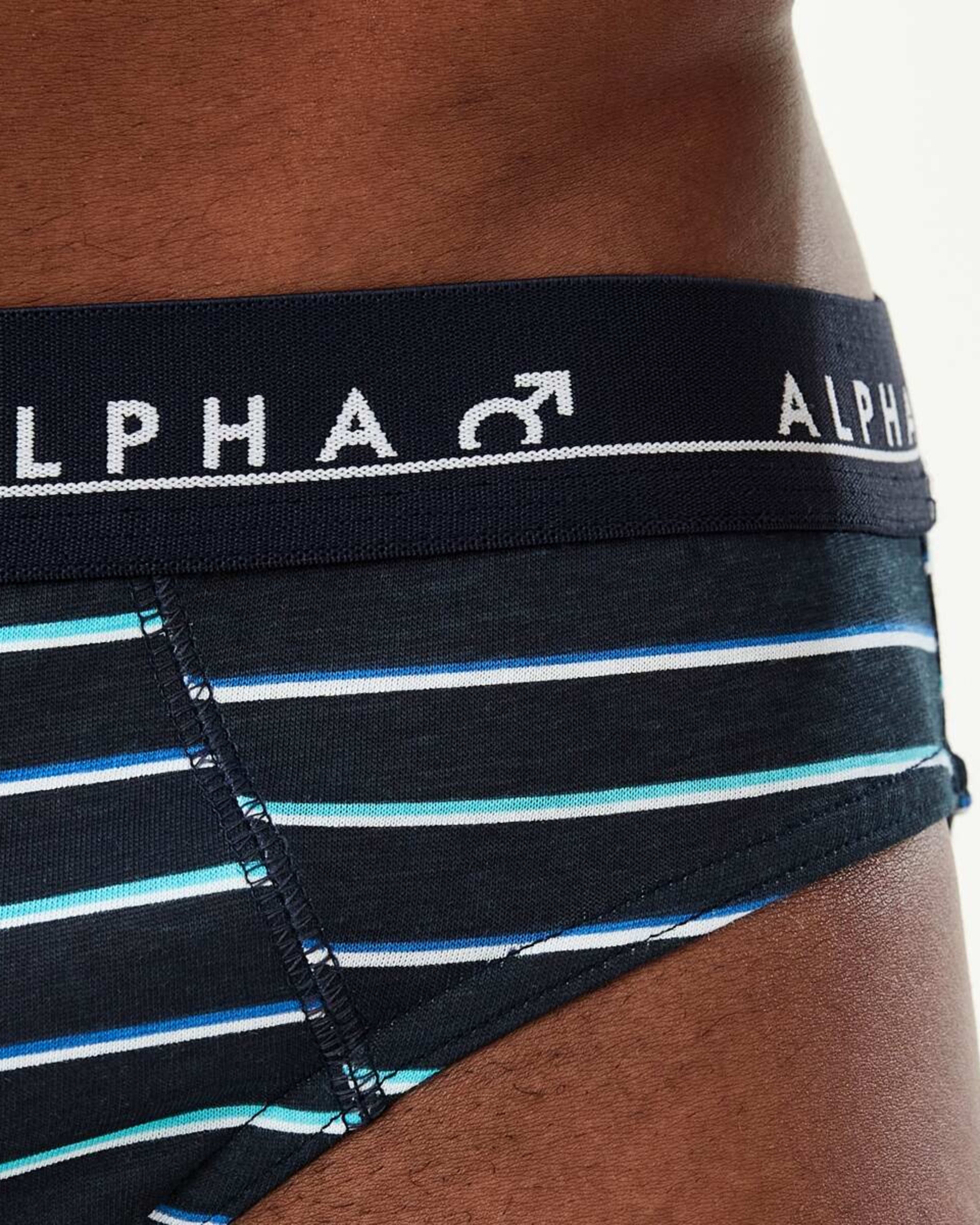 9 5 Pack Alpha Attached Elastic Hipster Briefs LIGHTSCAPE, 9 of 10