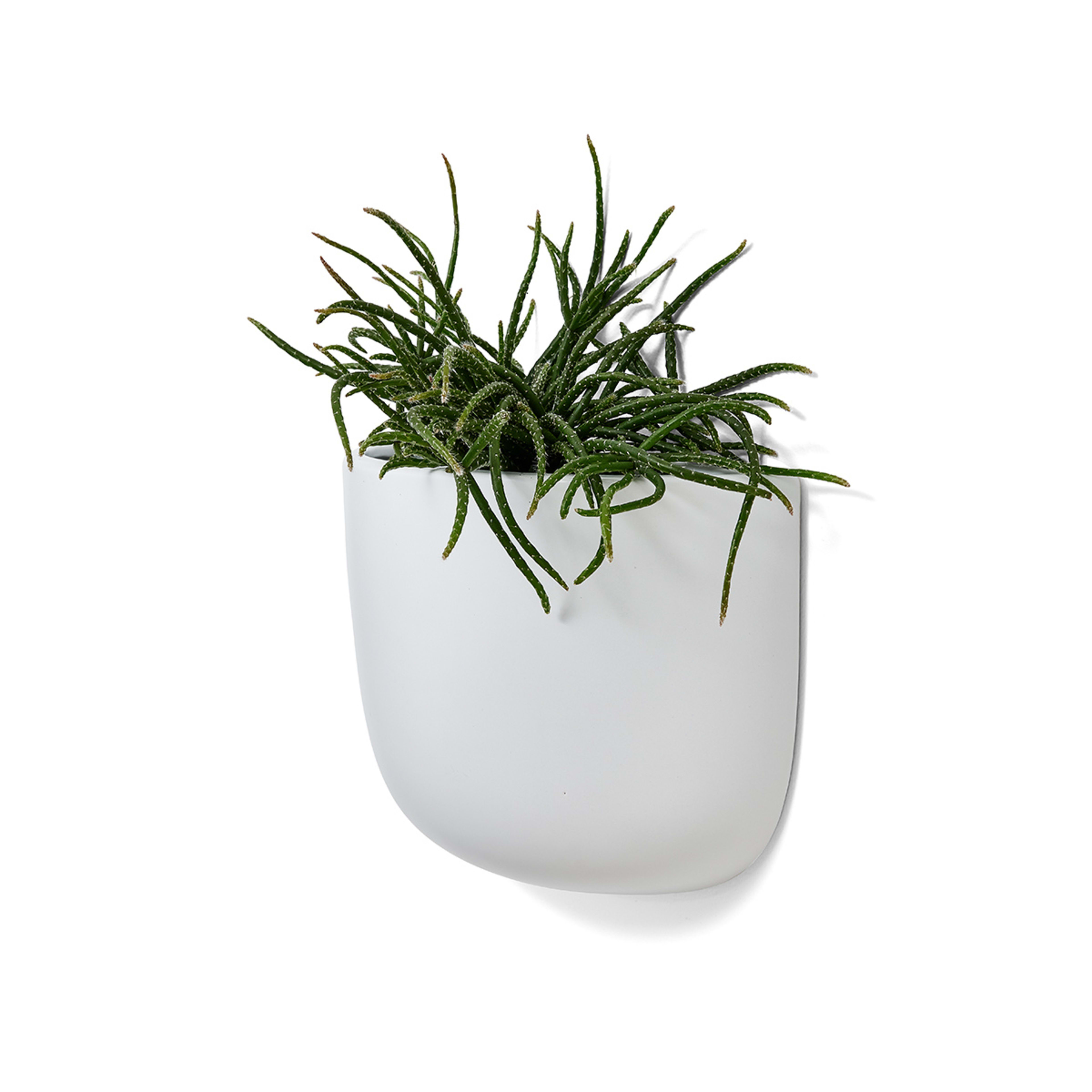 Indoor Hanging Planter Kmart