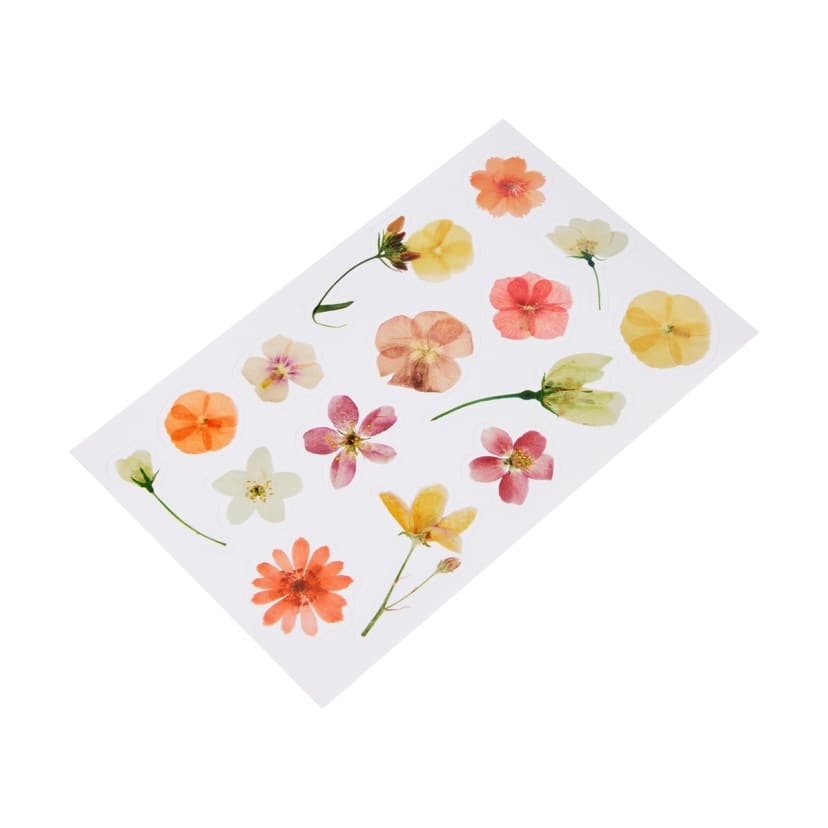 6 Pack Pressed Flower Stickers Kmart