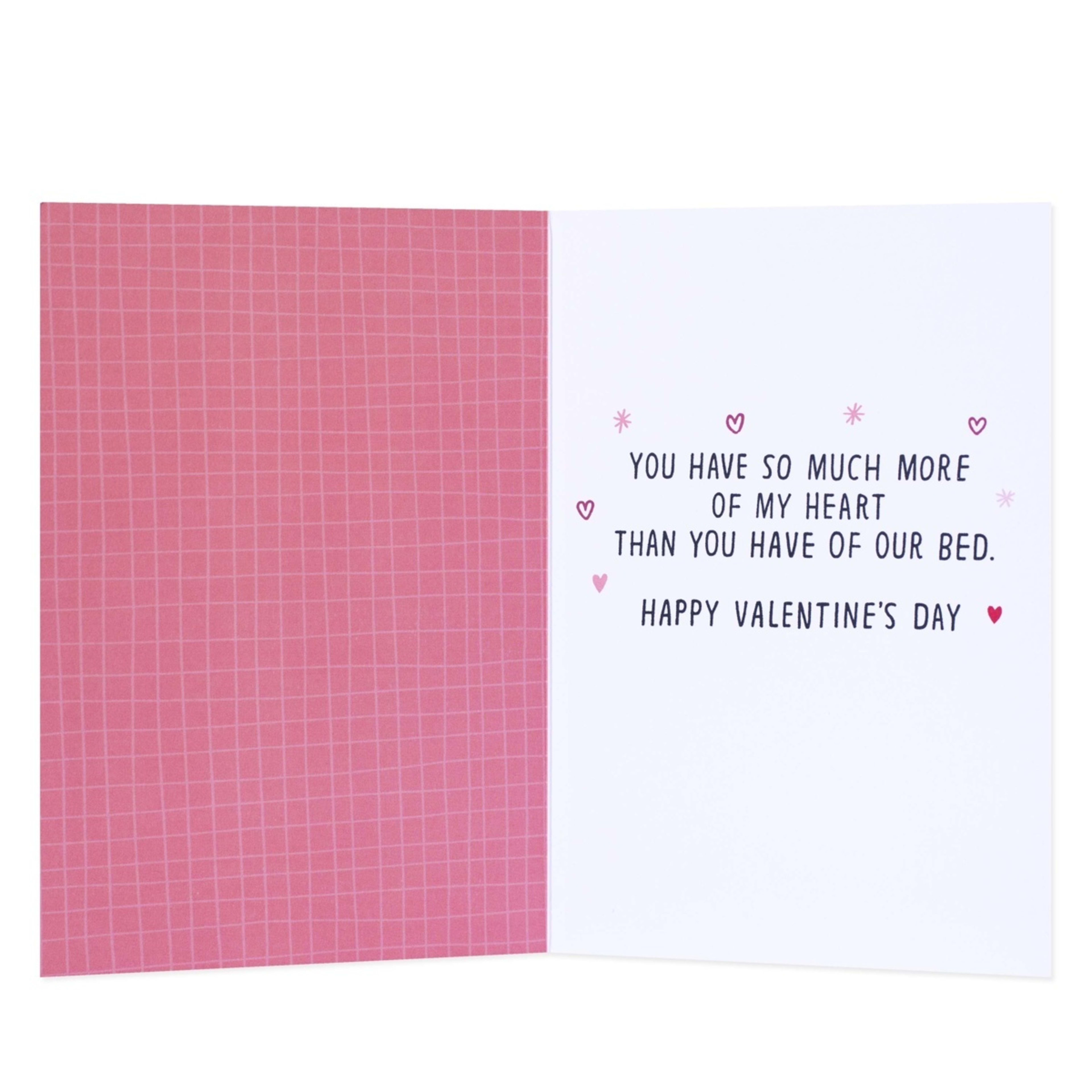 2 Hallmark Shoebox Valentine's Day Card - My Side, Pet Zone, Your Side, 2 of 3