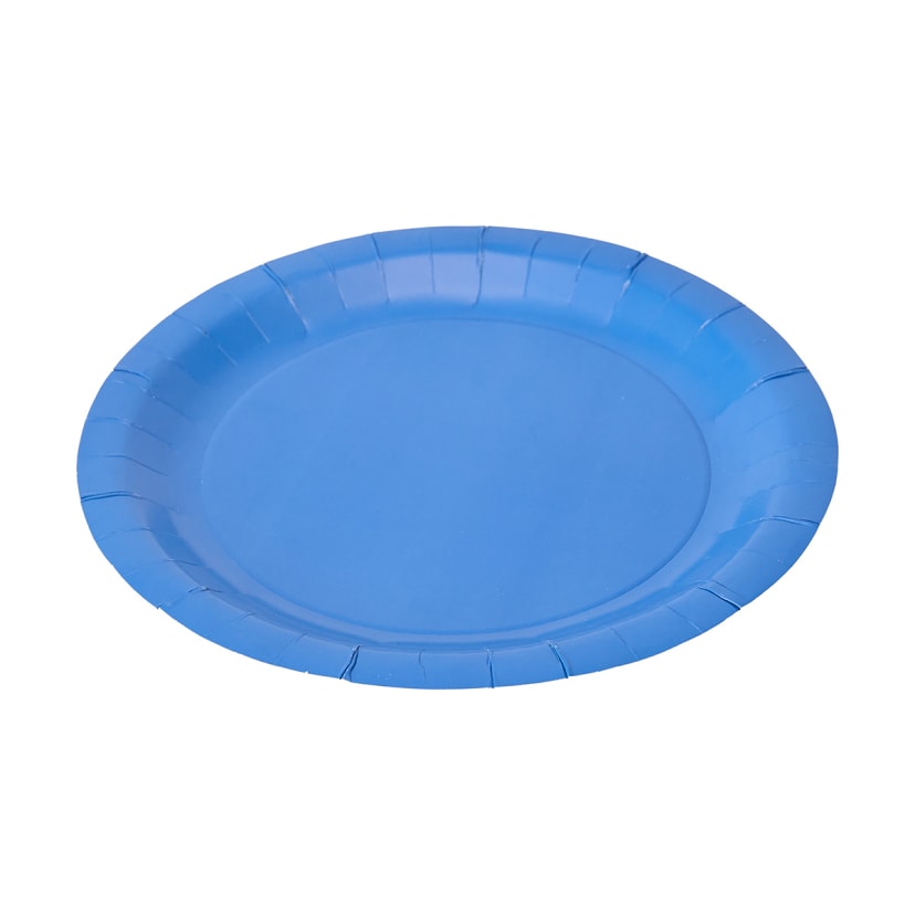 16 Pack Blue Paper Plates Kmart