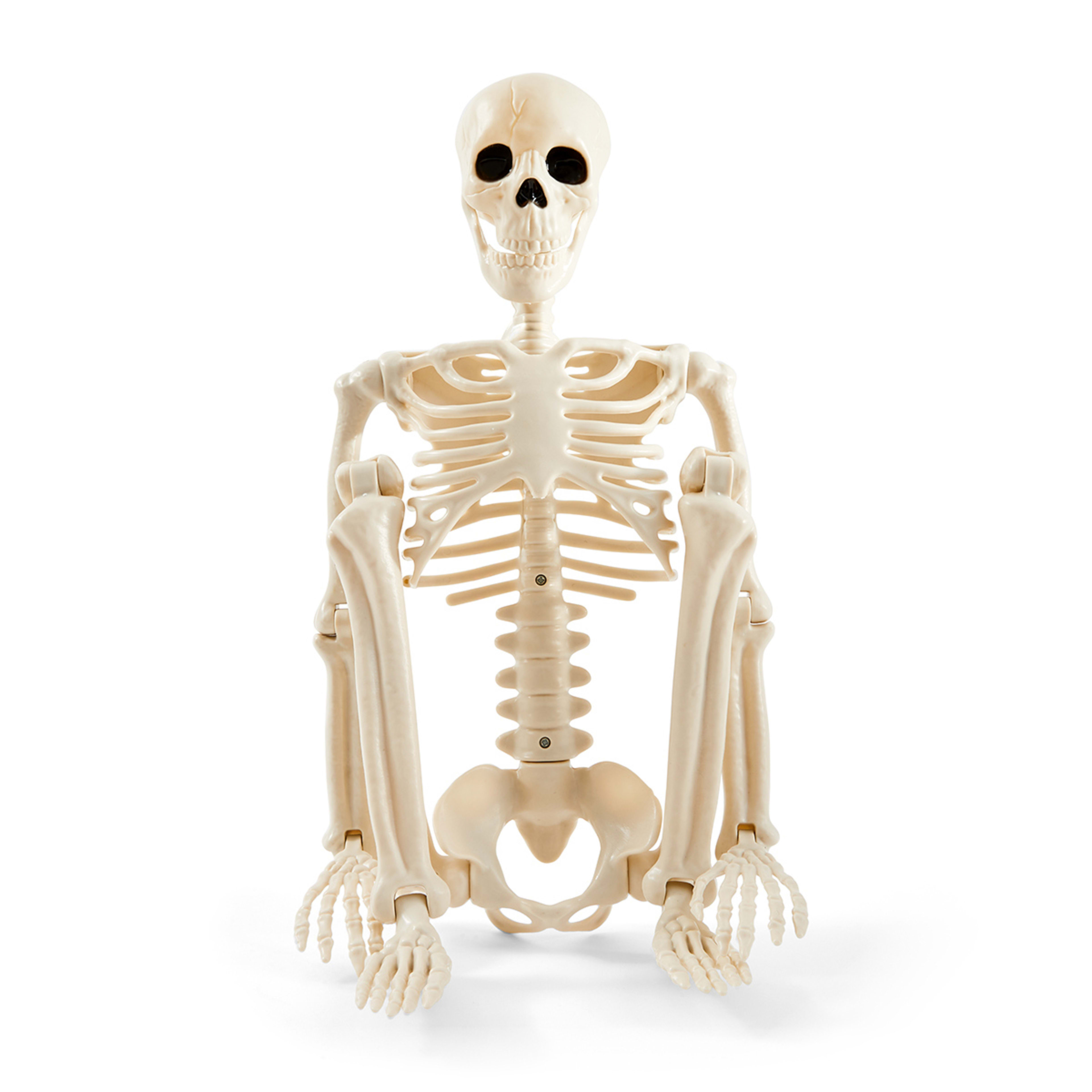 Adjustable Skeleton Kmart