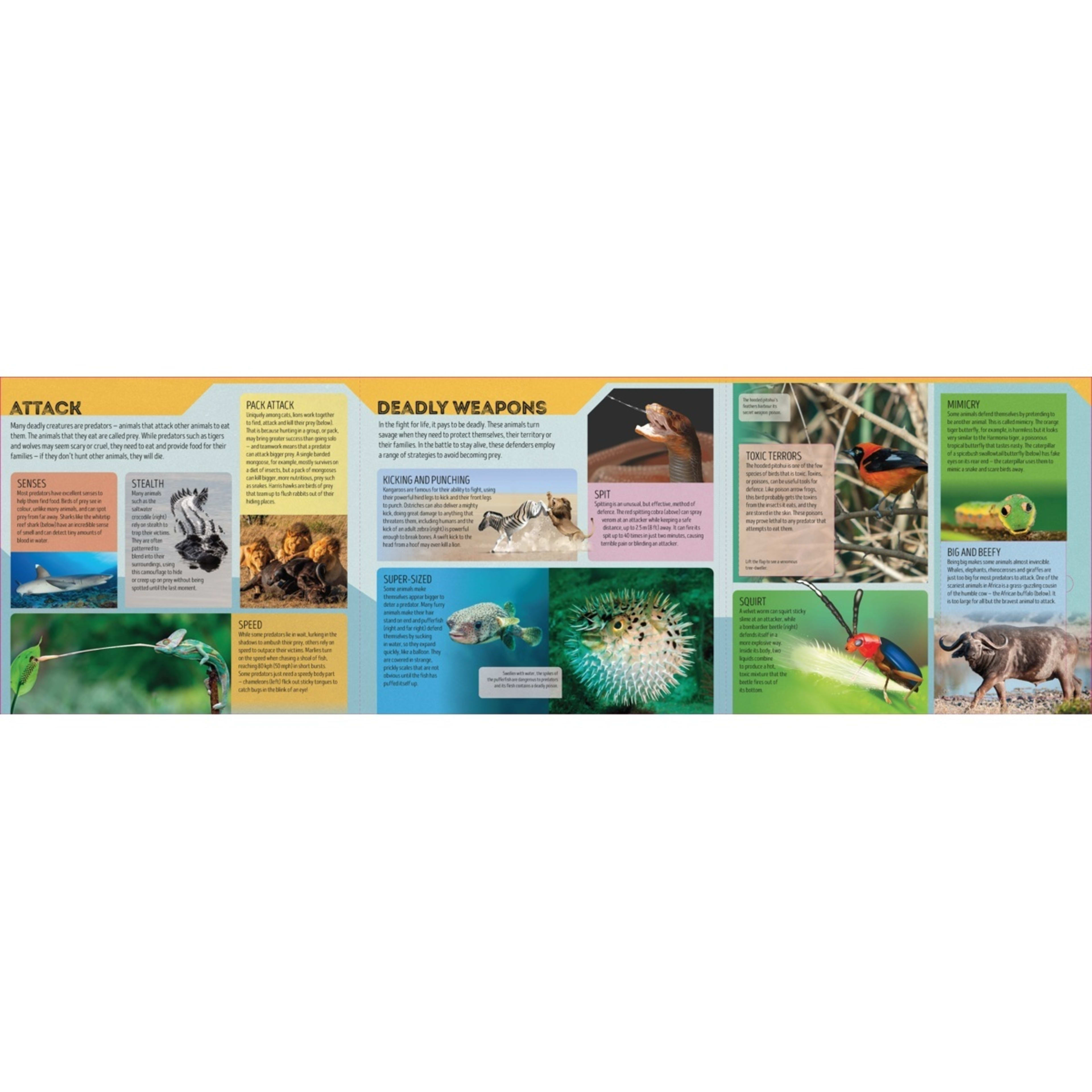 2 Lonely Planet Kids Deadly Animal Atlas by Camilla de la Bedoyere - Book, 2 of 5