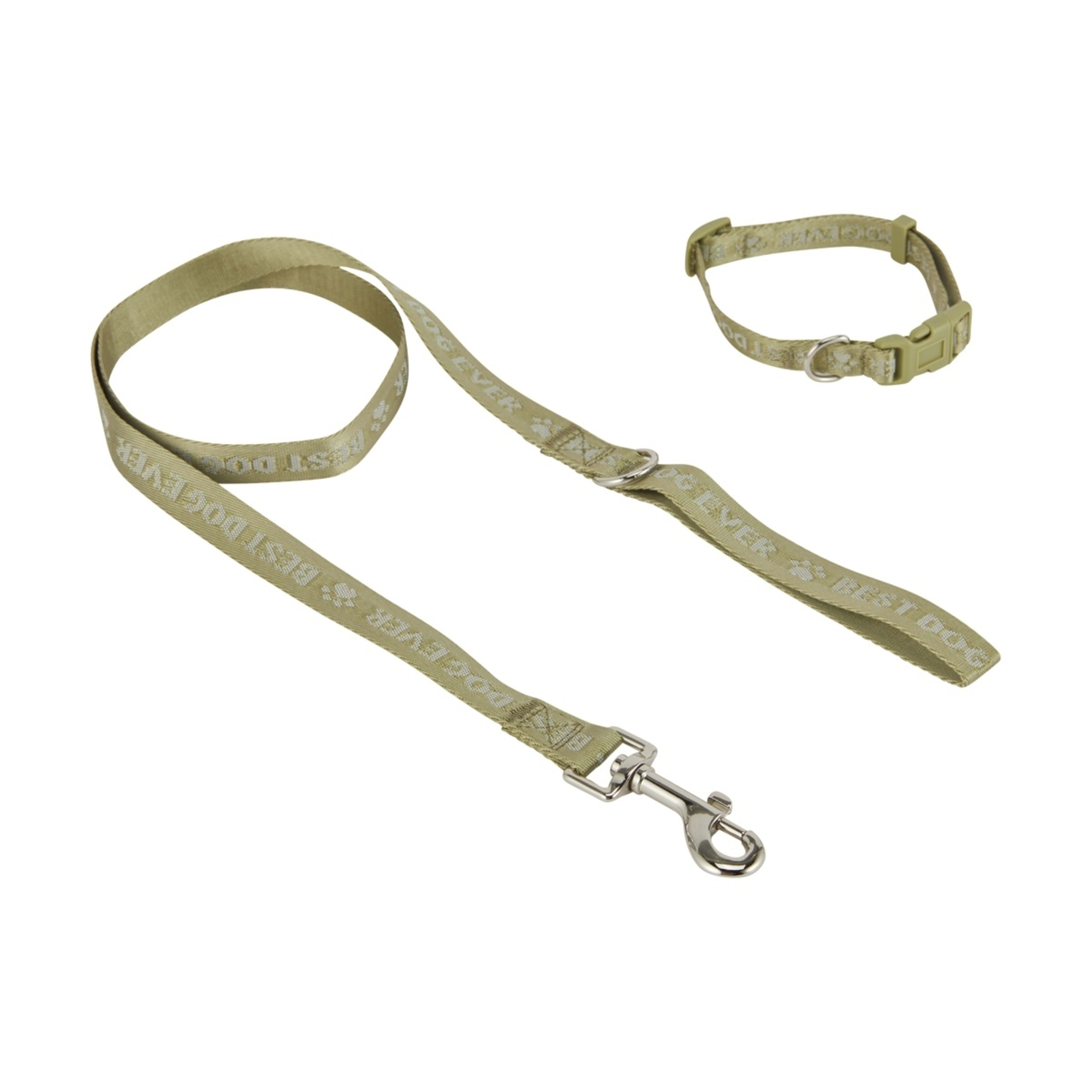 1 Best Dog Ever Collar and Lead Set - Small, Green