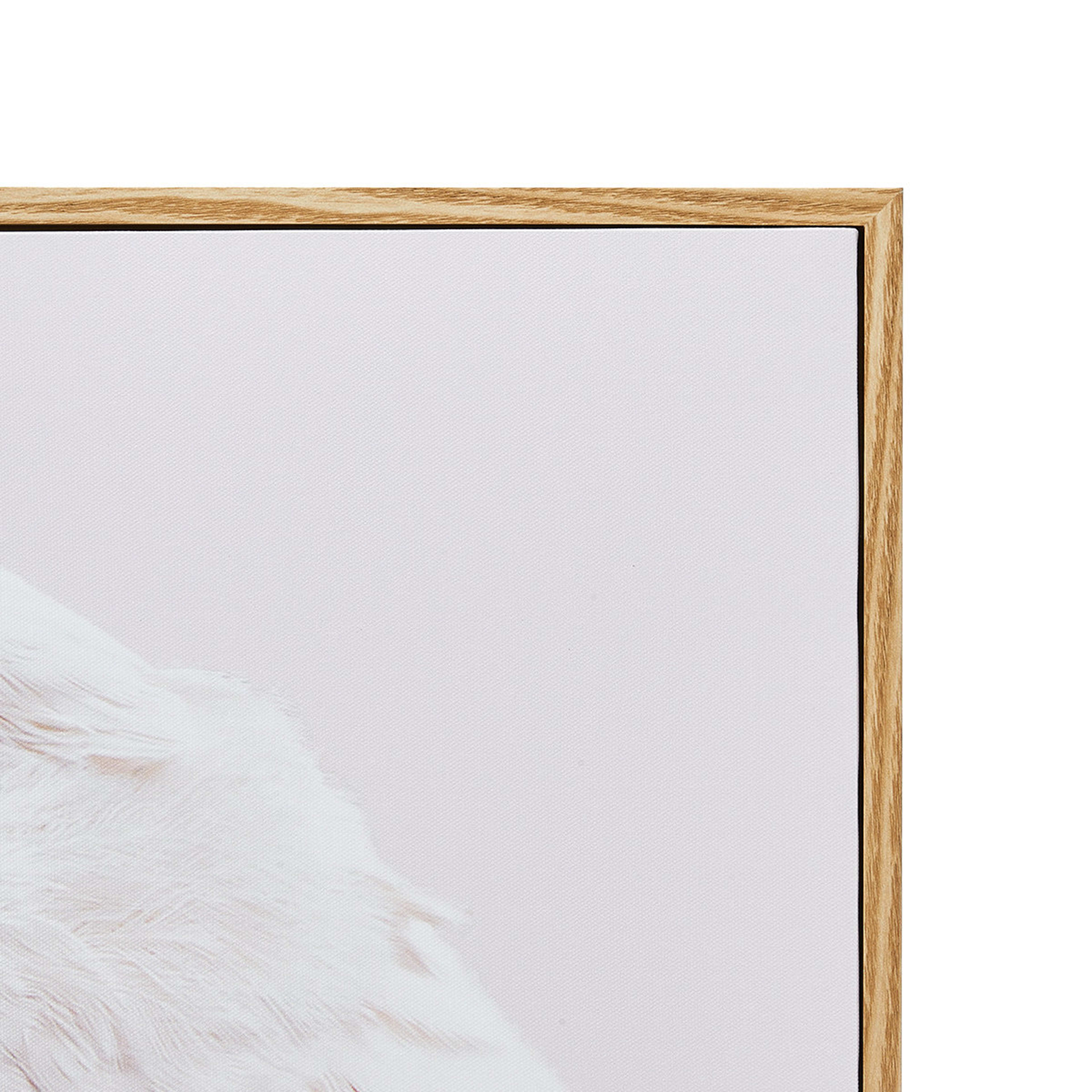 Cockatoo Framed Print Kmart