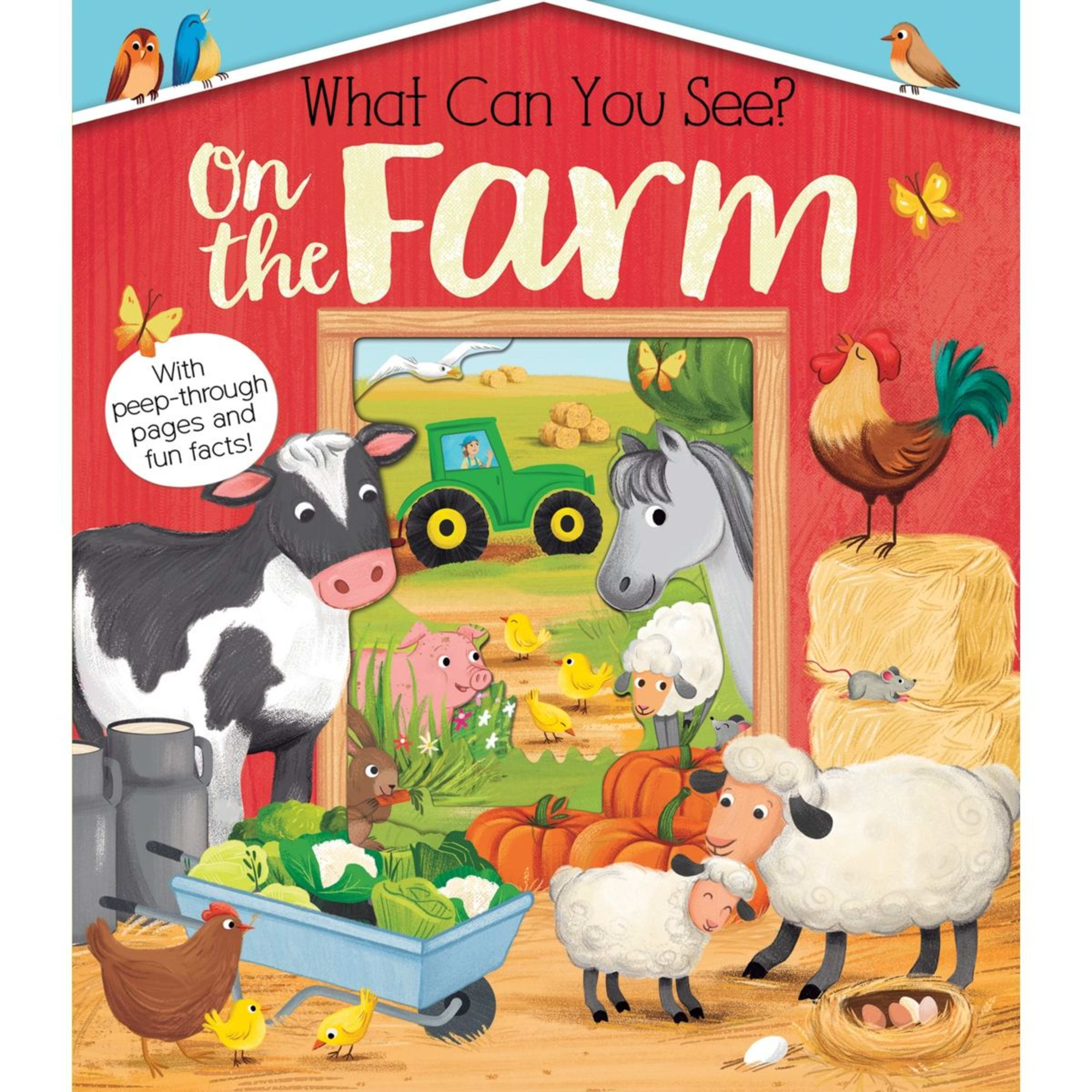 1 What Can You See? On the Farm - Book