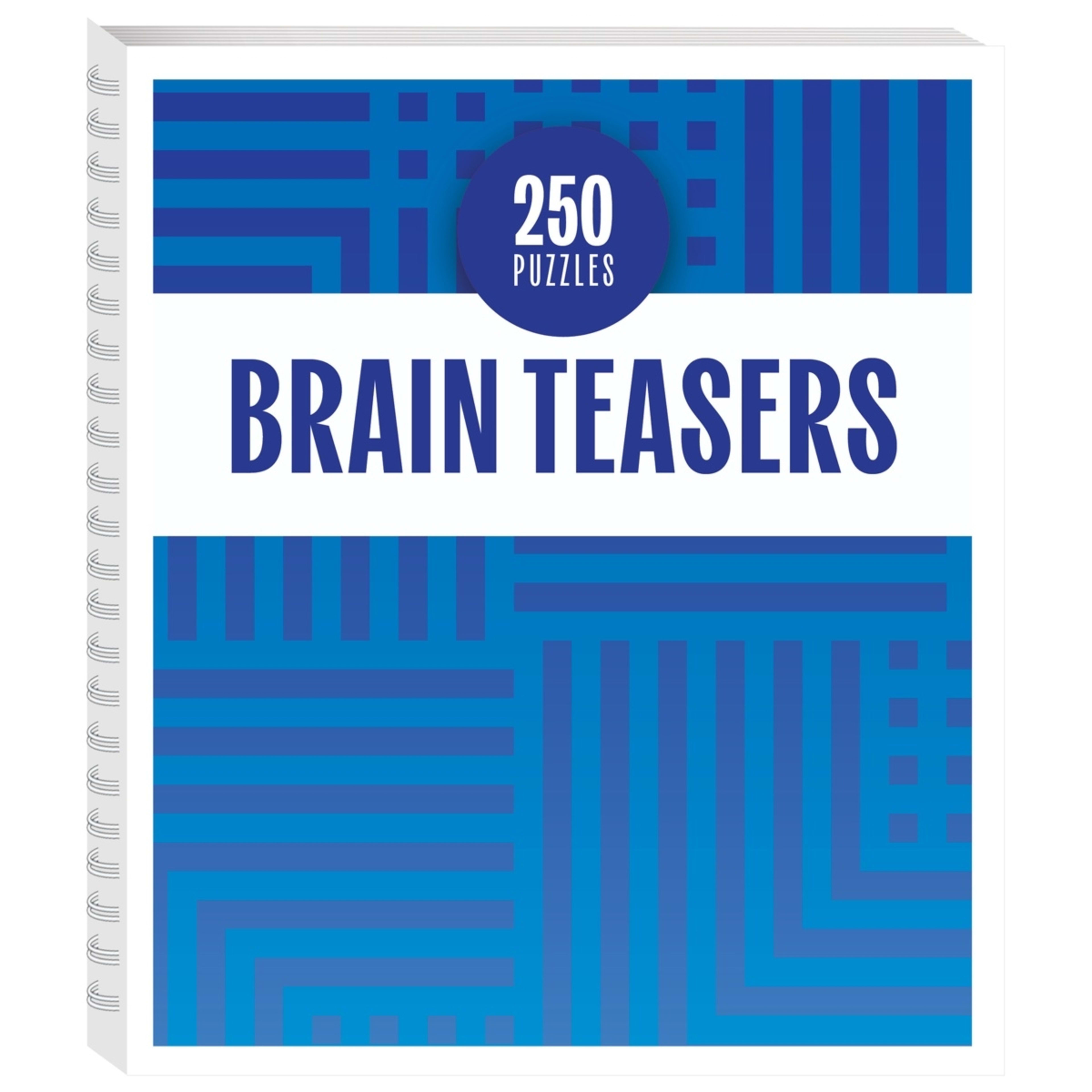 1 250 Puzzles: Brain Teasers - Book