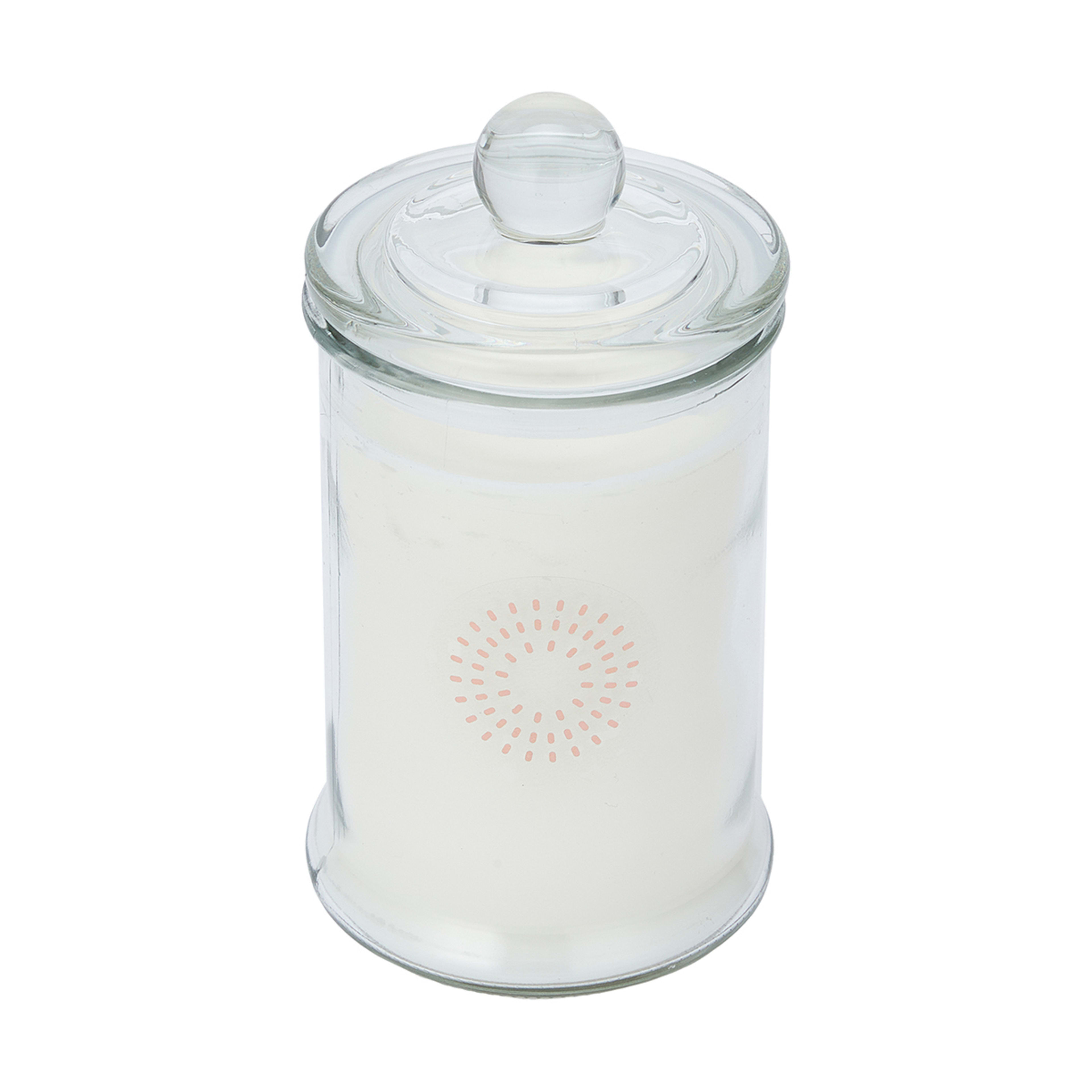 Tropical Oasis Jar Fragrant Candle Kmart