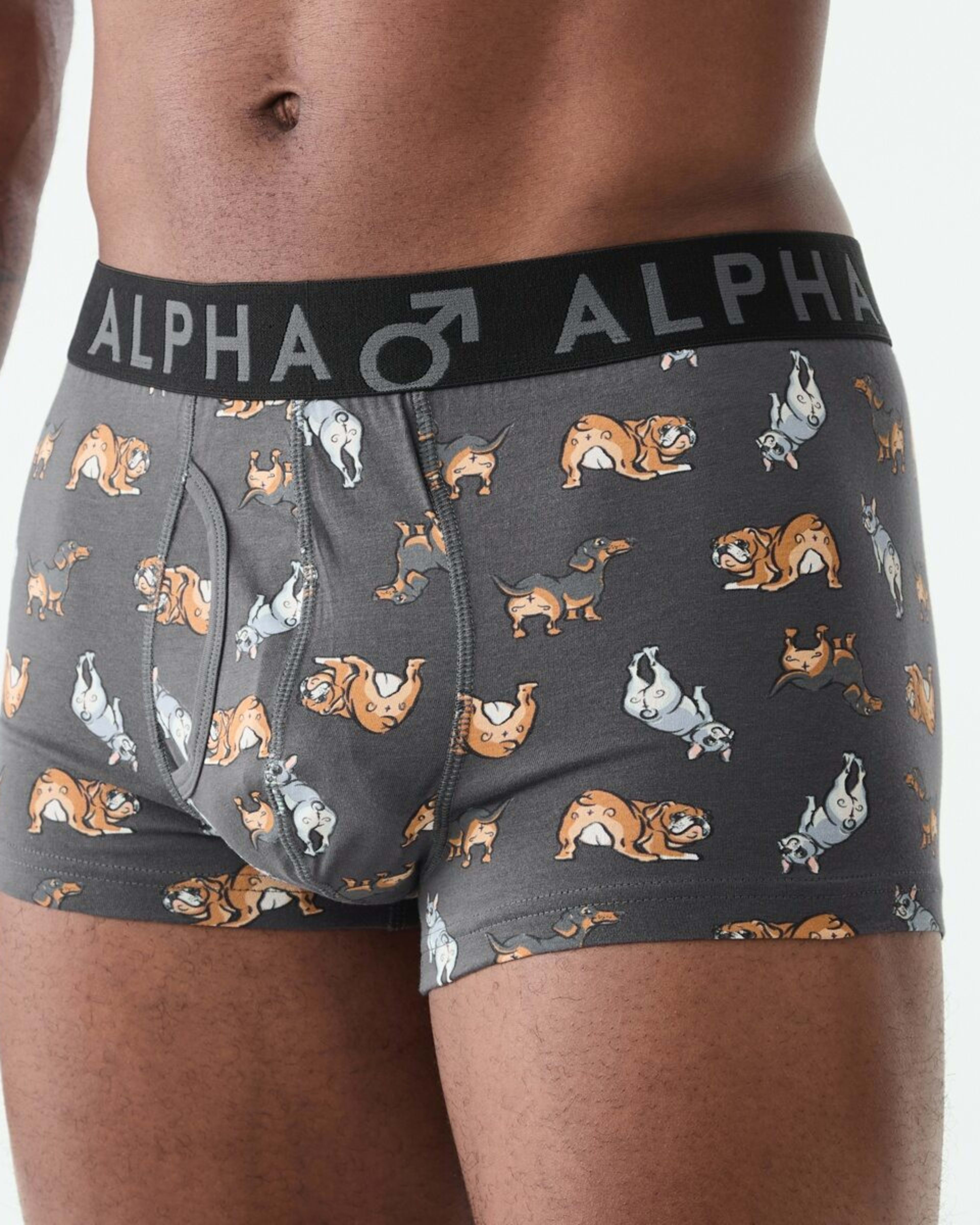 5 3 Pack Fly Front Print Trunks Hey Pups, 5 of 8