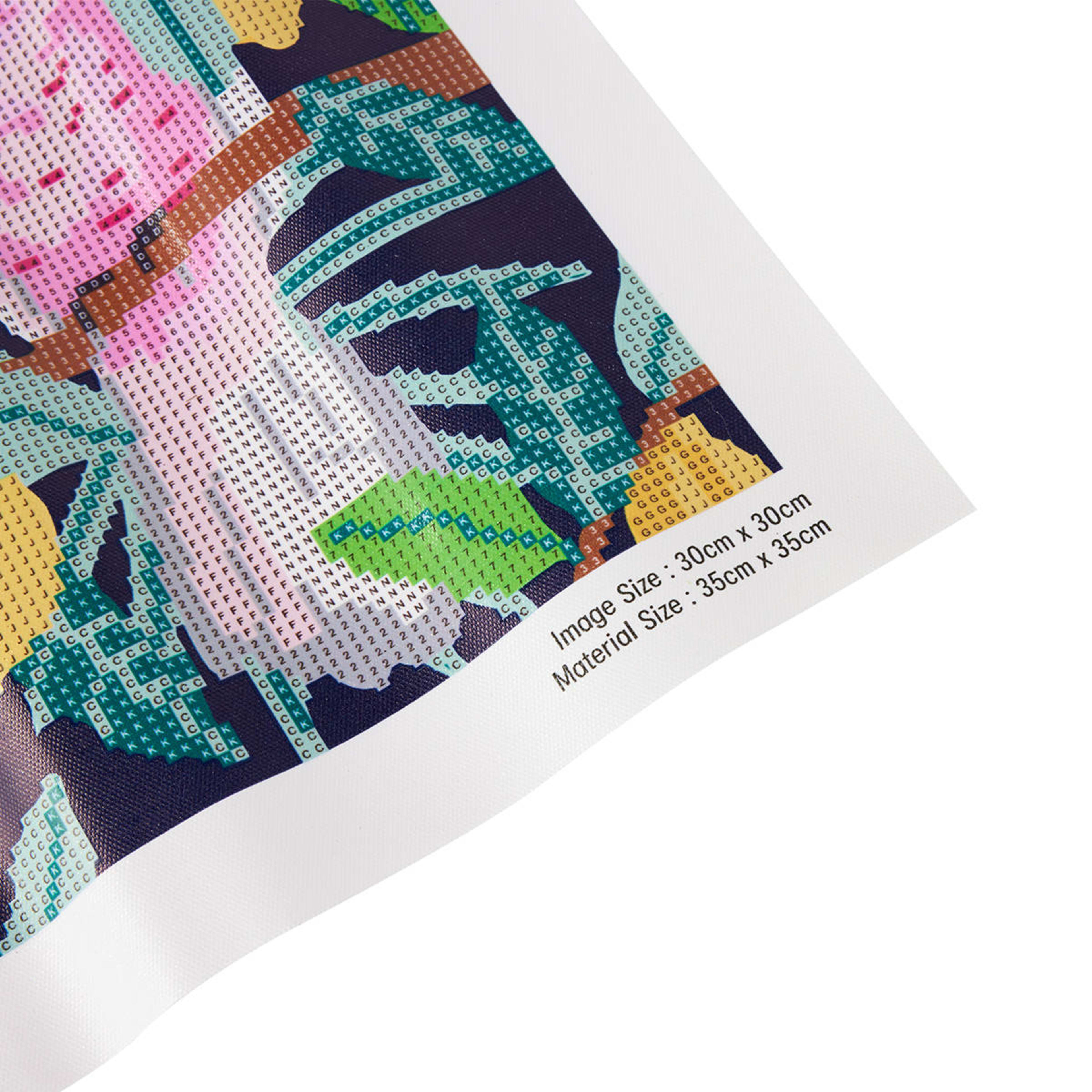 Sparkle Gem Art Birds Kmart