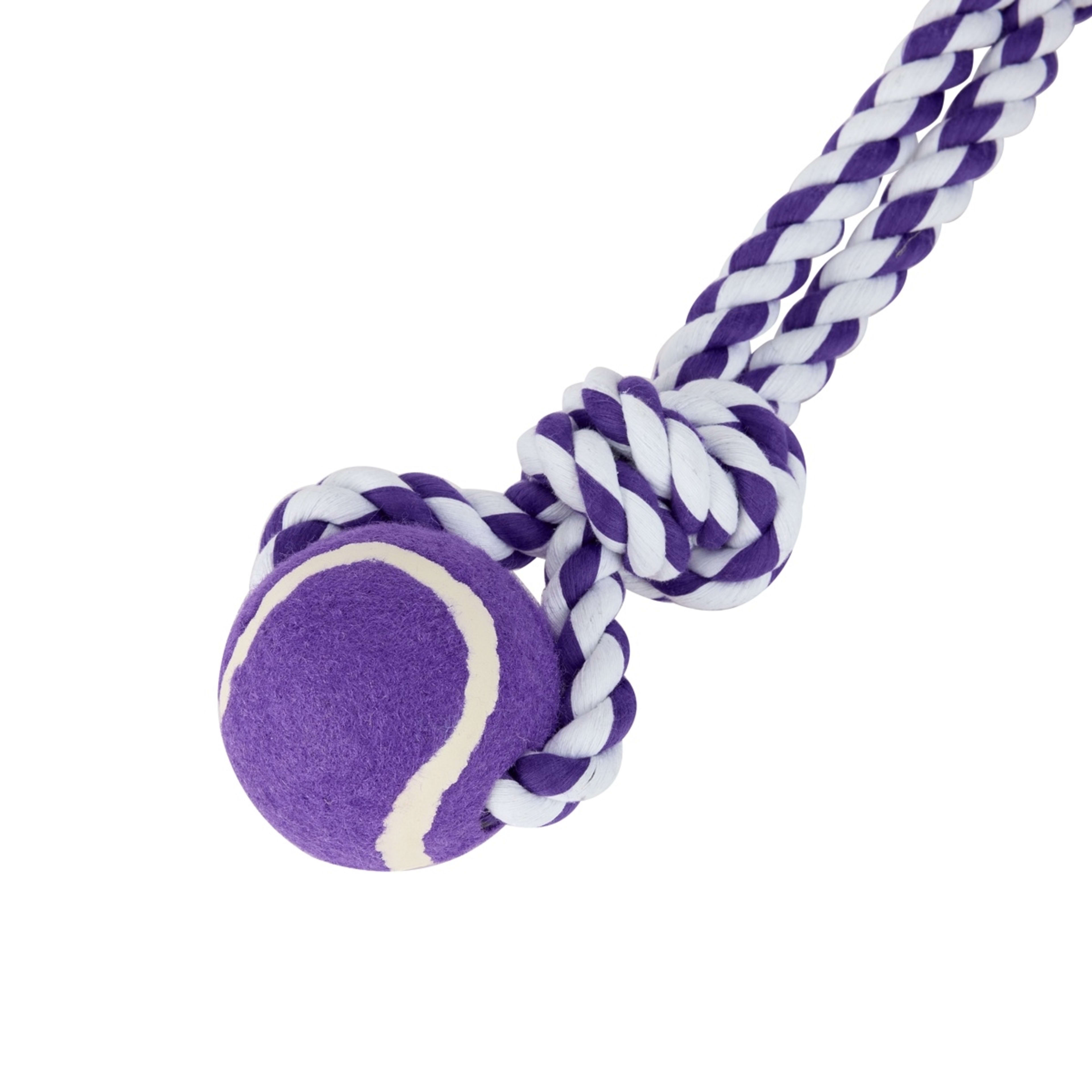 5 Pet Toy Sling Rope - Assorted, 5 of 6