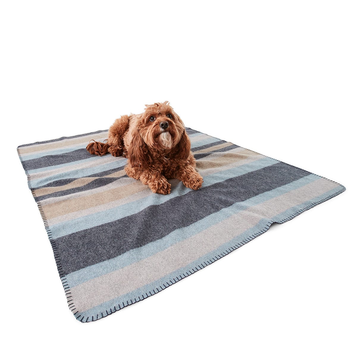 Dog mat kmart best sale