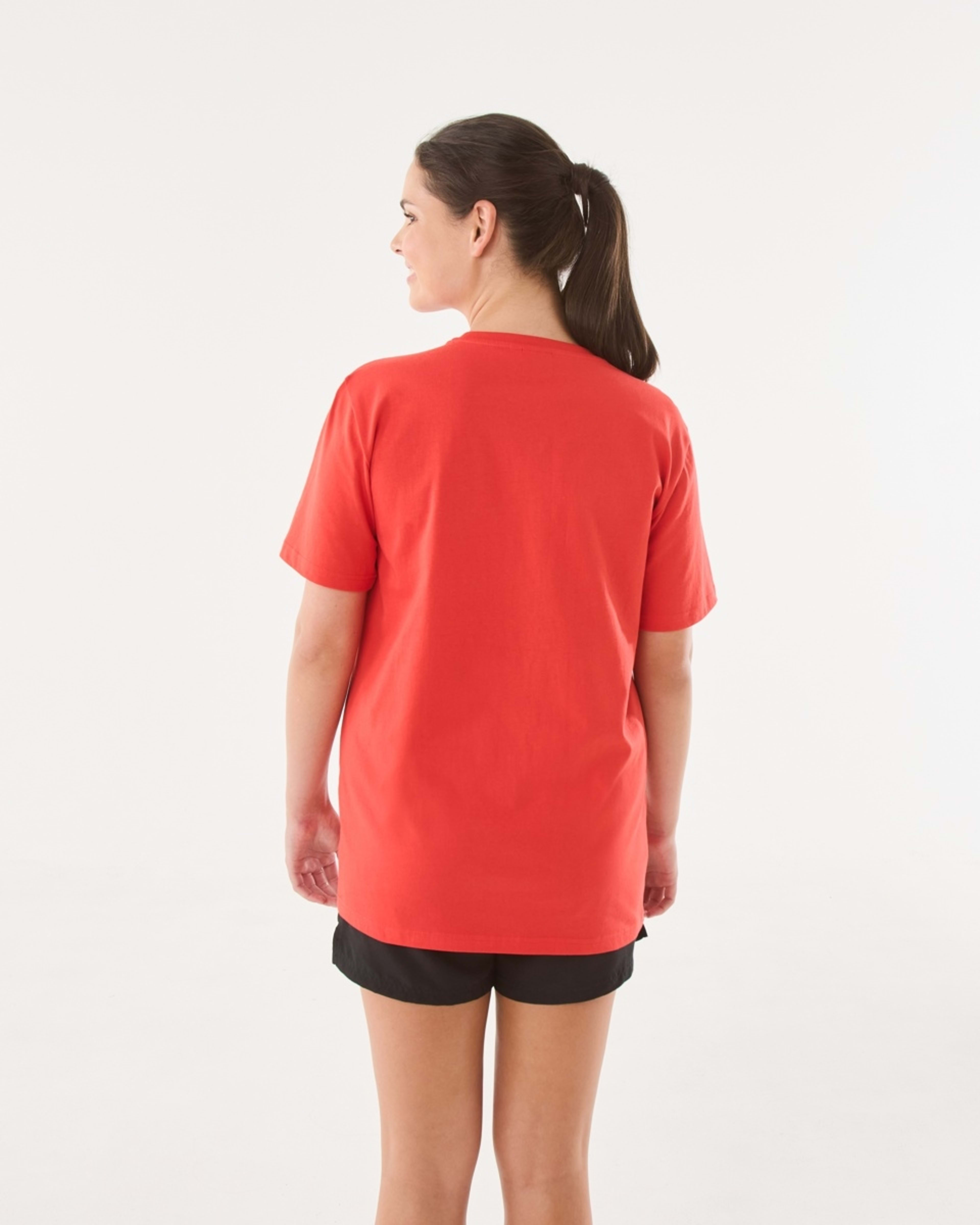 3 Official AFL Adult T-shirt Sydney, 3 of 5
