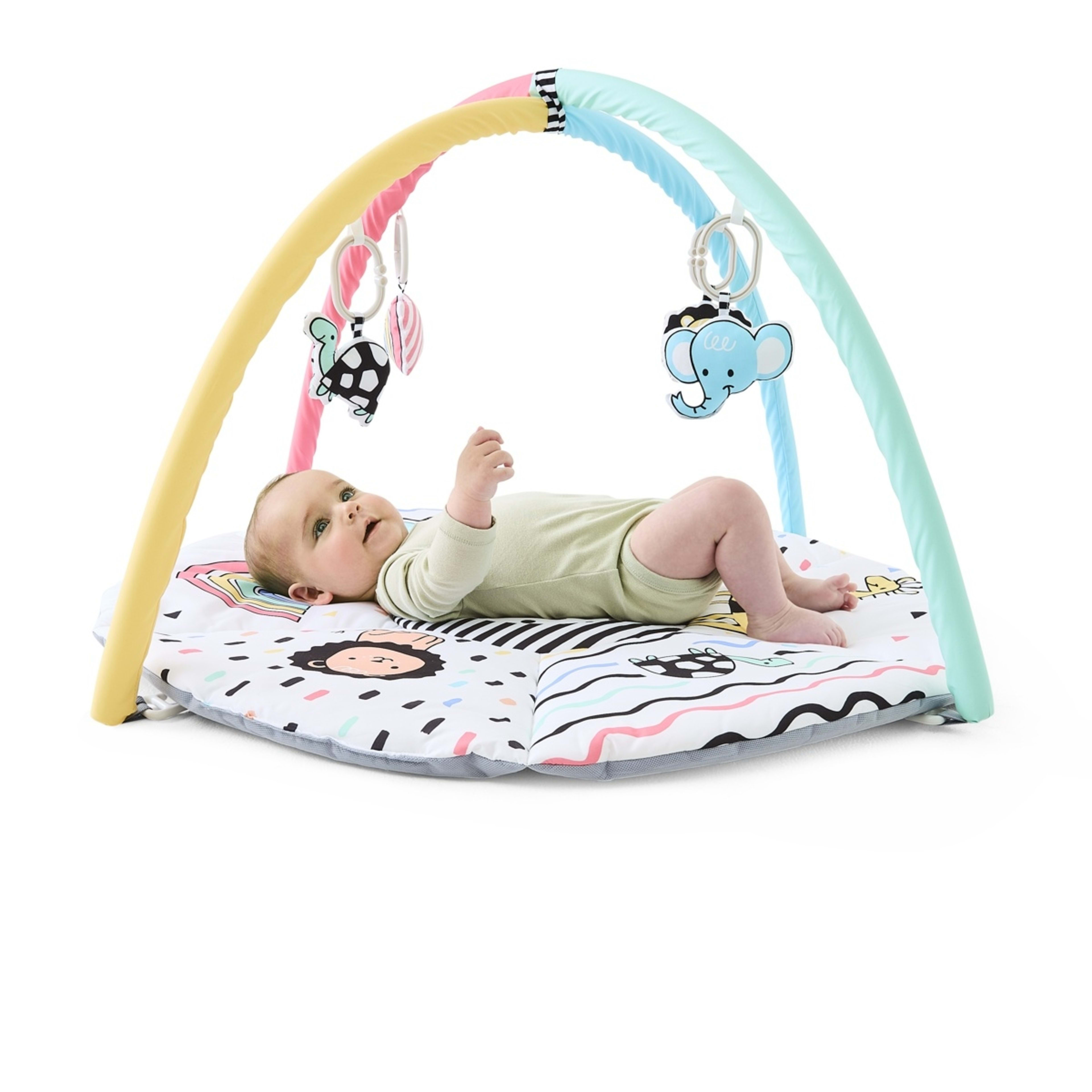 1 Play Mat and Gym