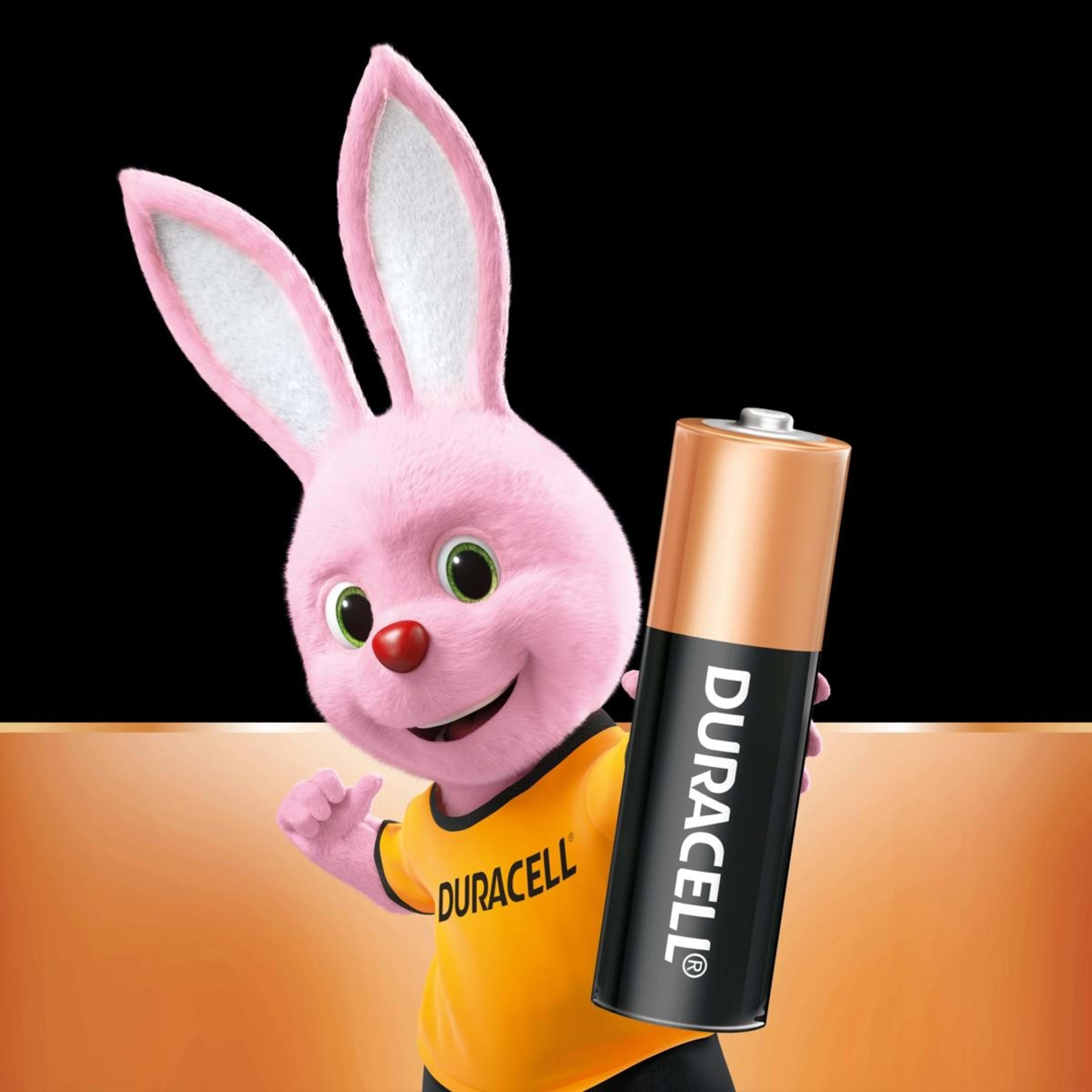 3 4 Pack Duracell Coppertop AA 1.5V Alkaline Batteries, 3 of 10