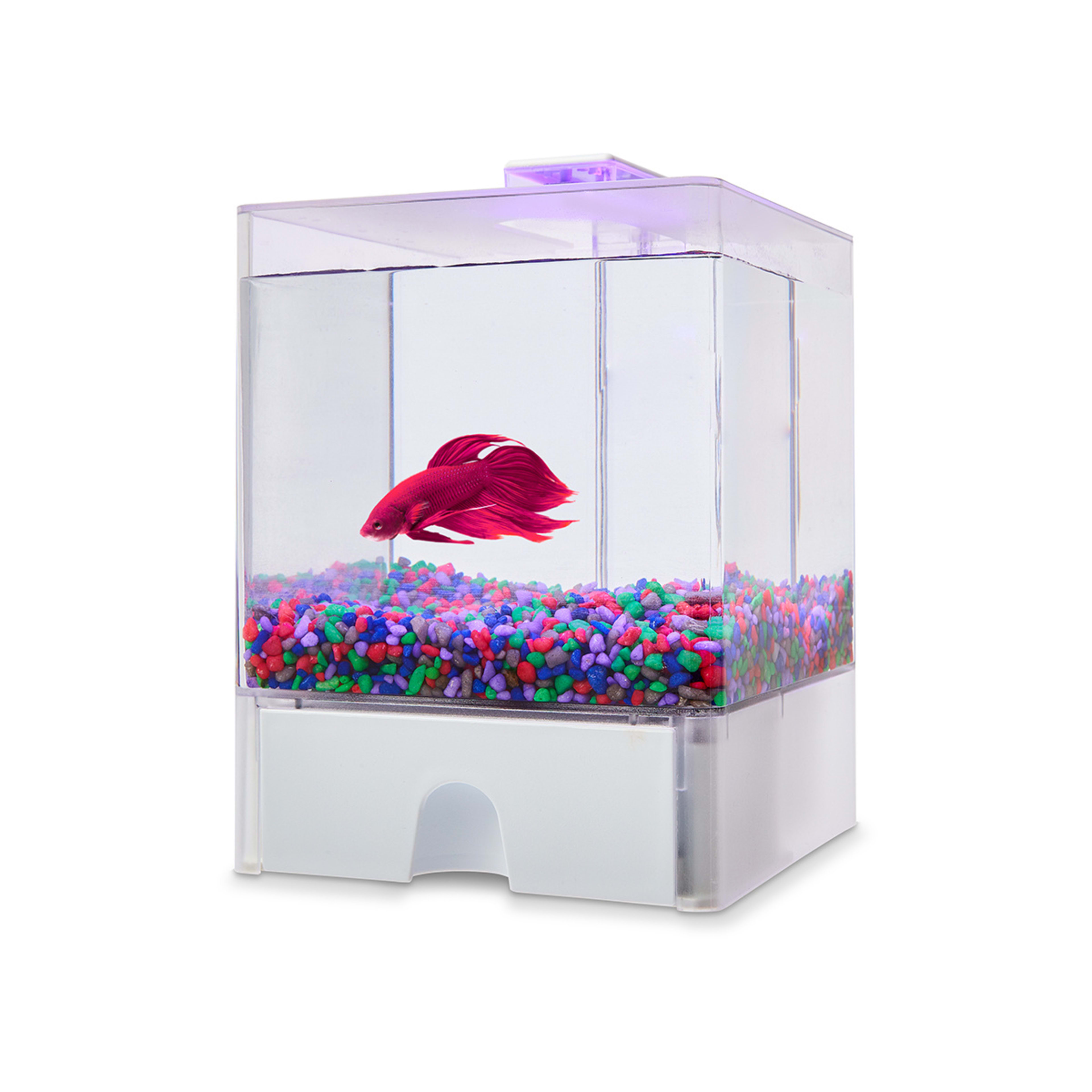 Small Fish Aquarium Kmart
