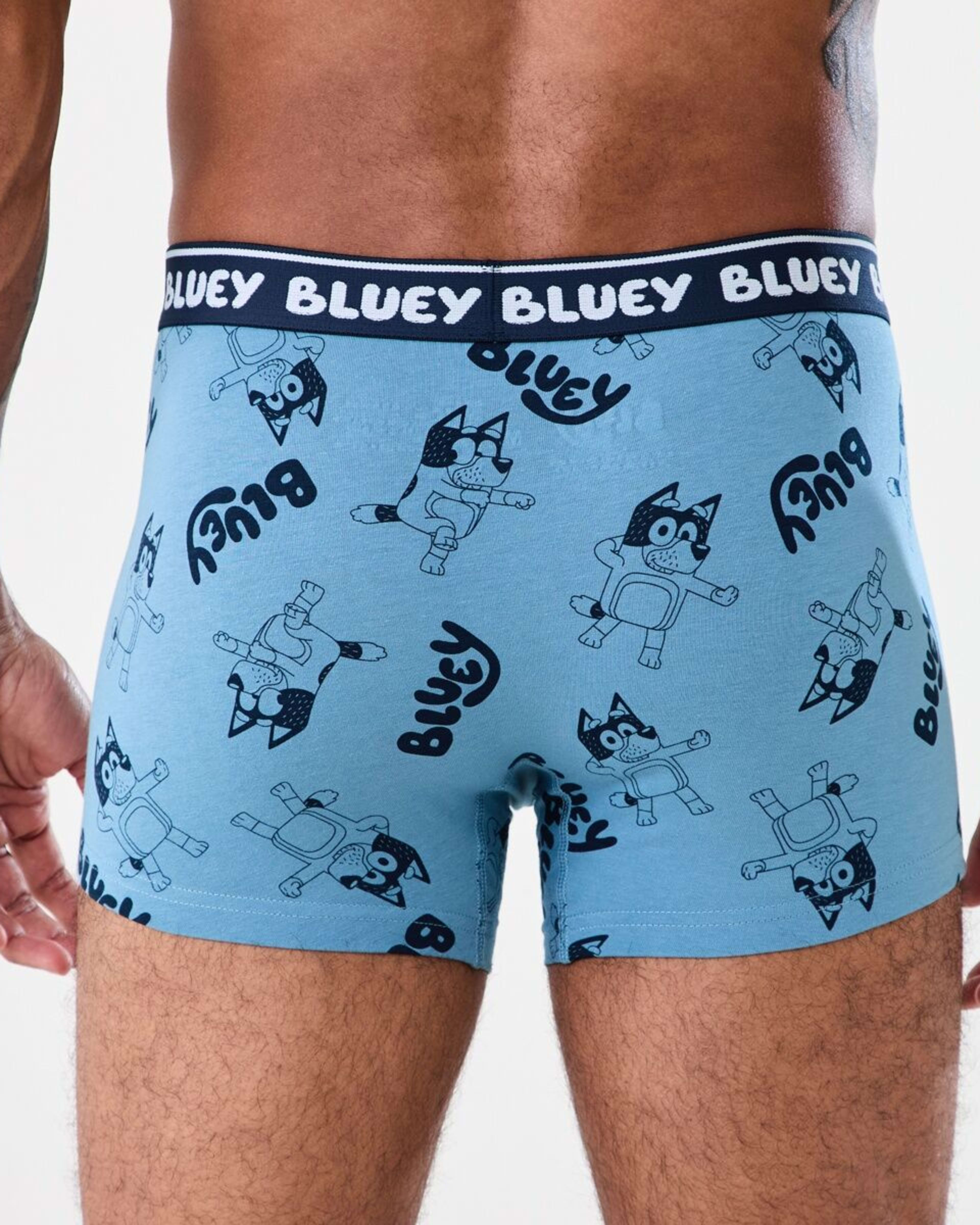 6 3 Pack Bluey License Trunks BLUEY TRUNKS, 6 of 8