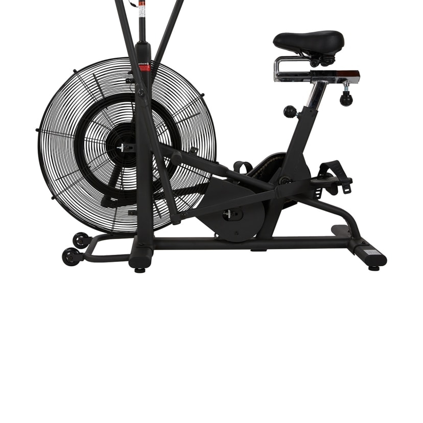 costco air bike