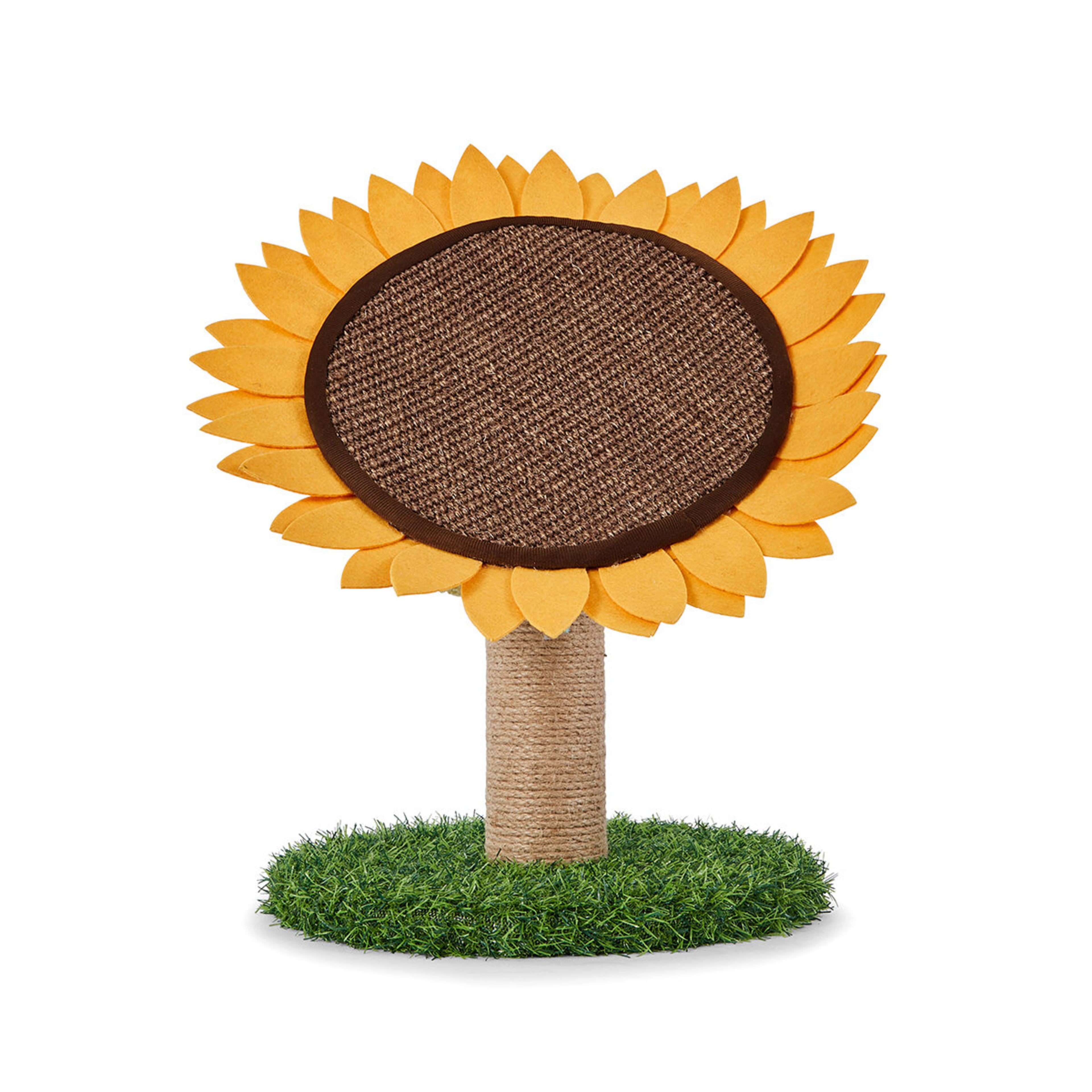 3 Cat Scratcher Sunflower, 3 of 8