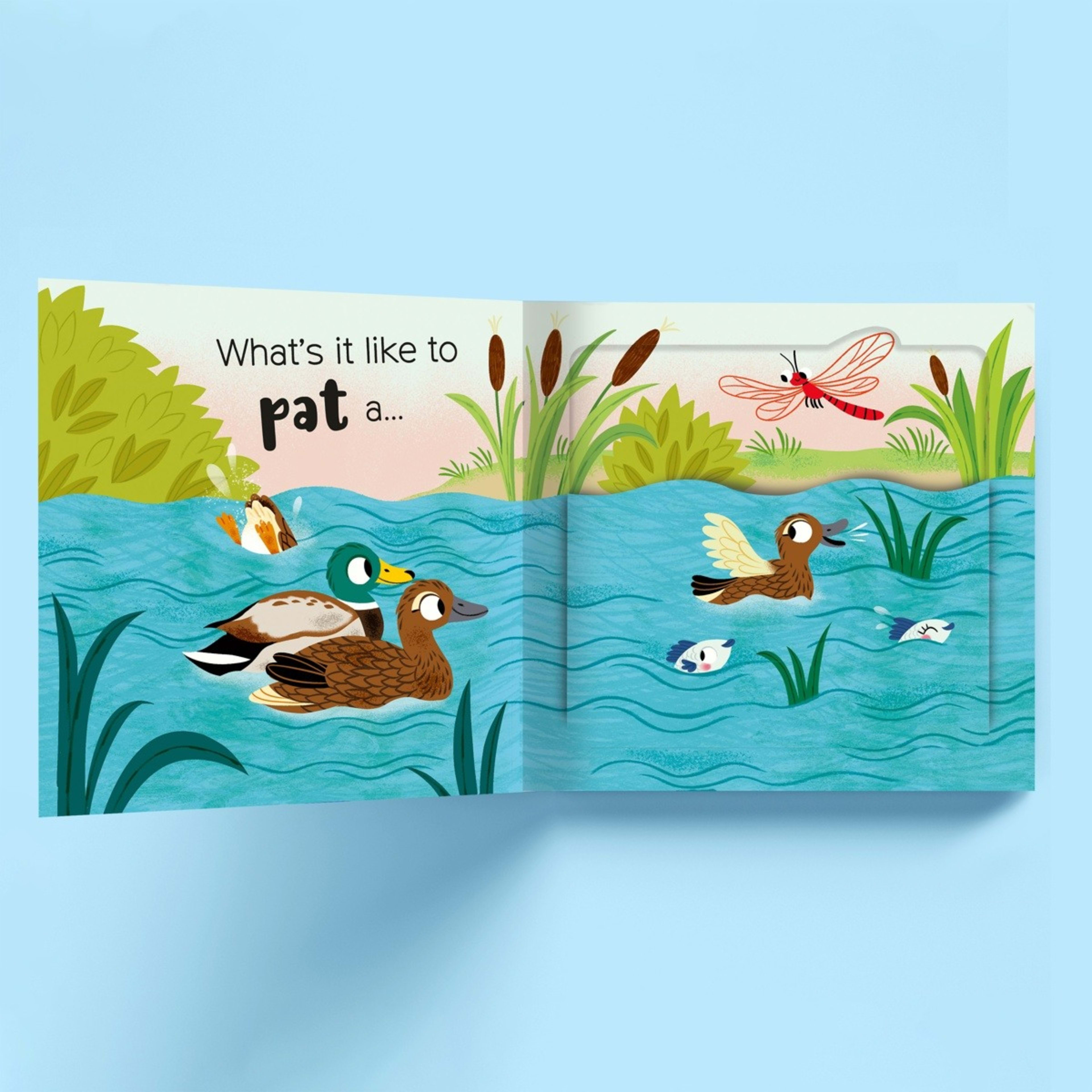 3 What's It Like to Kiss a Kangaroo? by Malgorzata Detner - Book, 3 of 5
