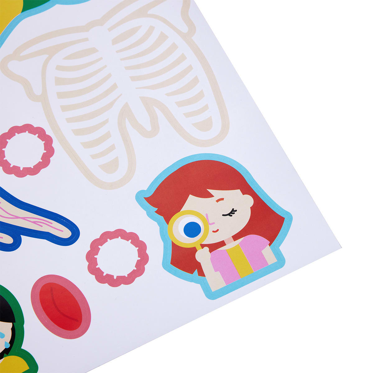 Learn About the Human Body Giant Educational Poster and Stickers Kmart
