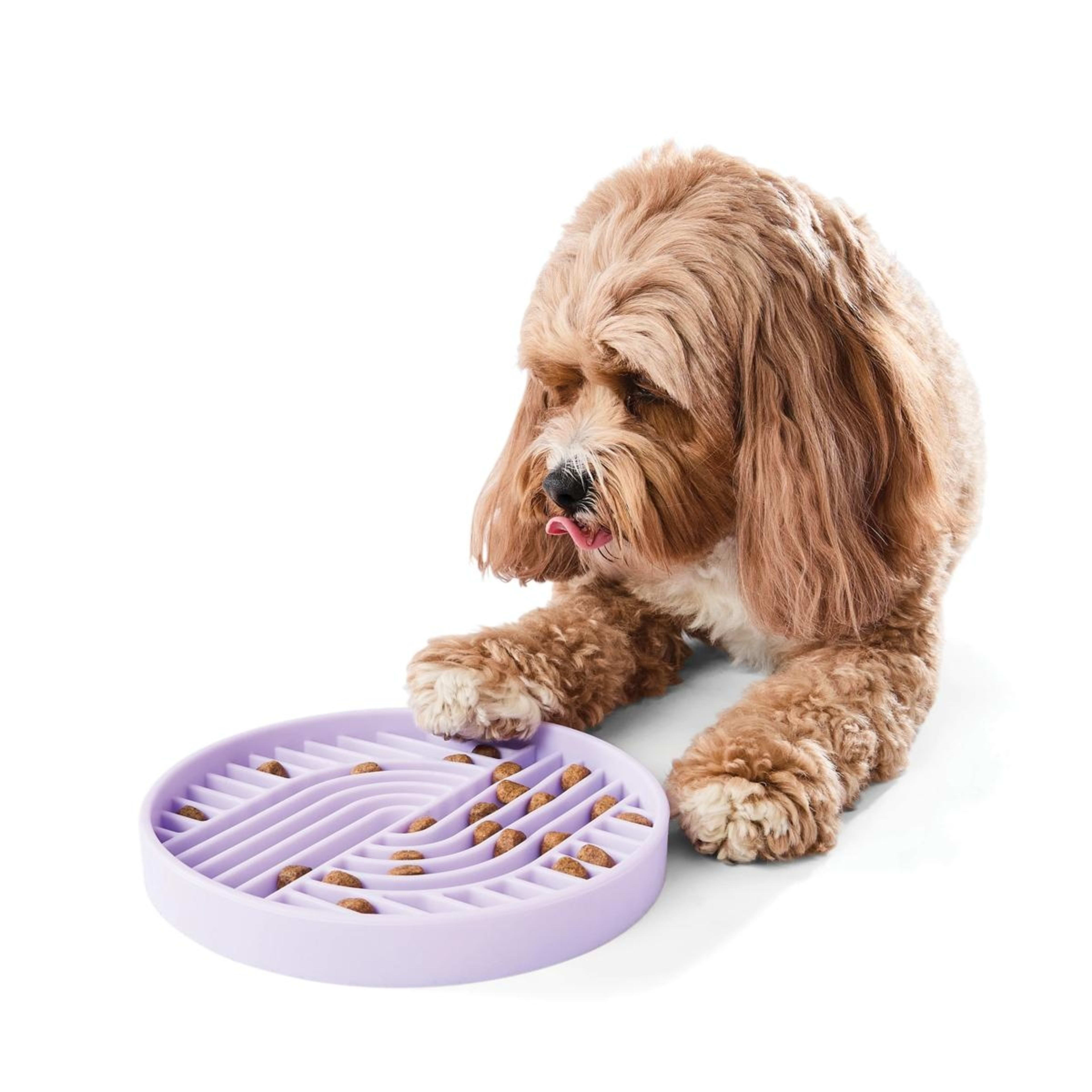 1 Pet Silicone Feeding Plate - Lilac