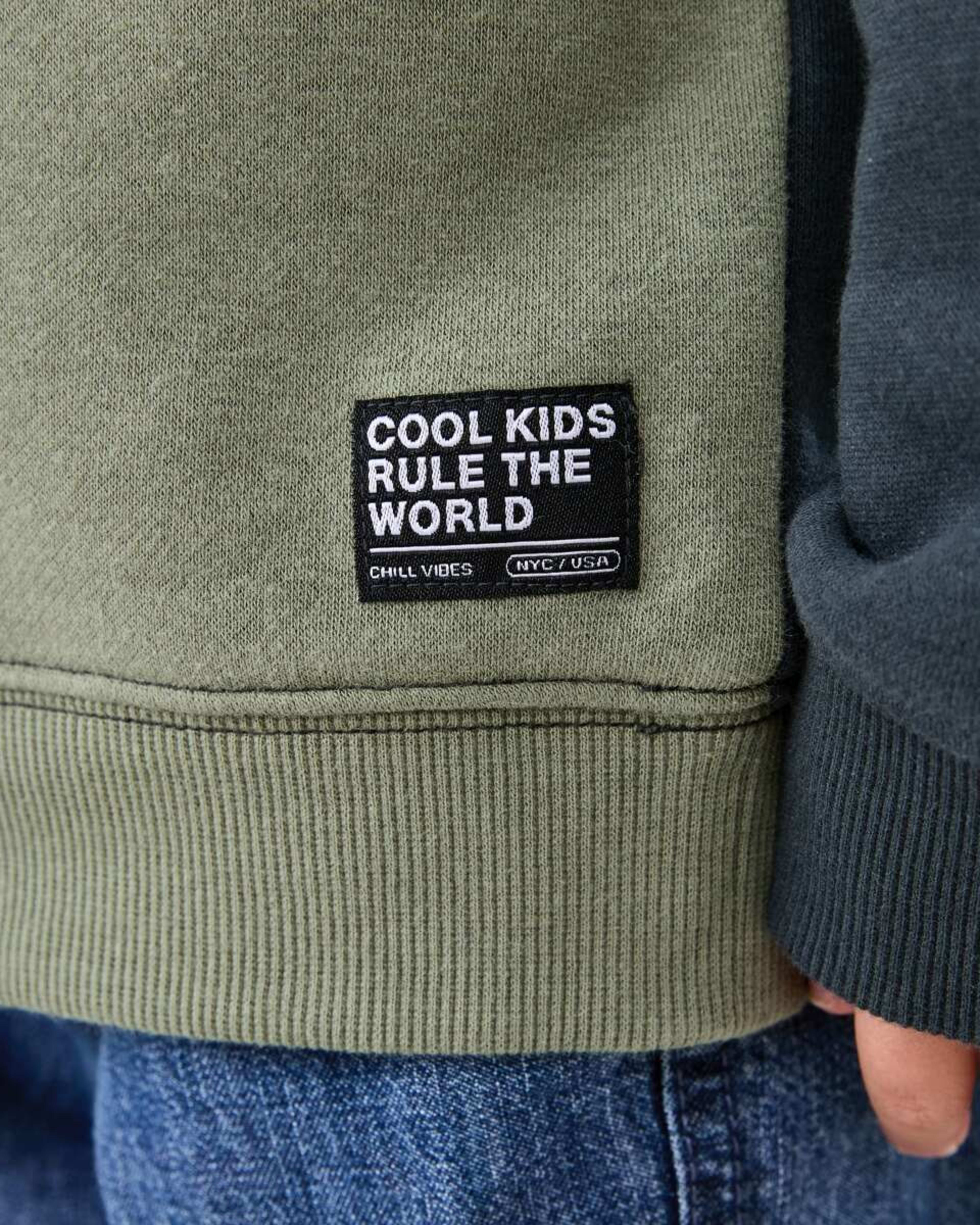 6 Quarter Zip Sweatshirt Wood Grey, 6 of 10