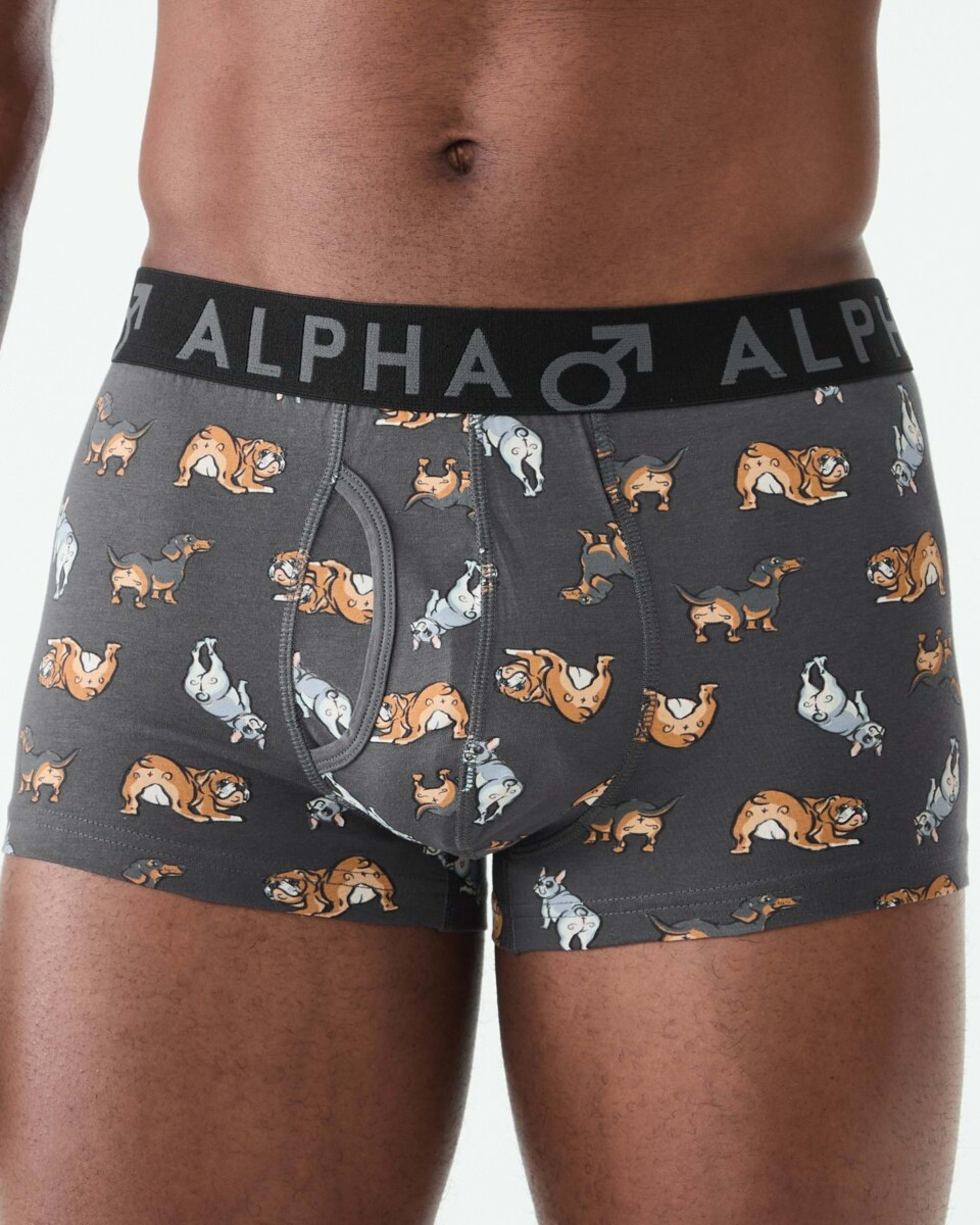 4 3 Pack Fly Front Print Trunks Hey Pups, 4 of 8
