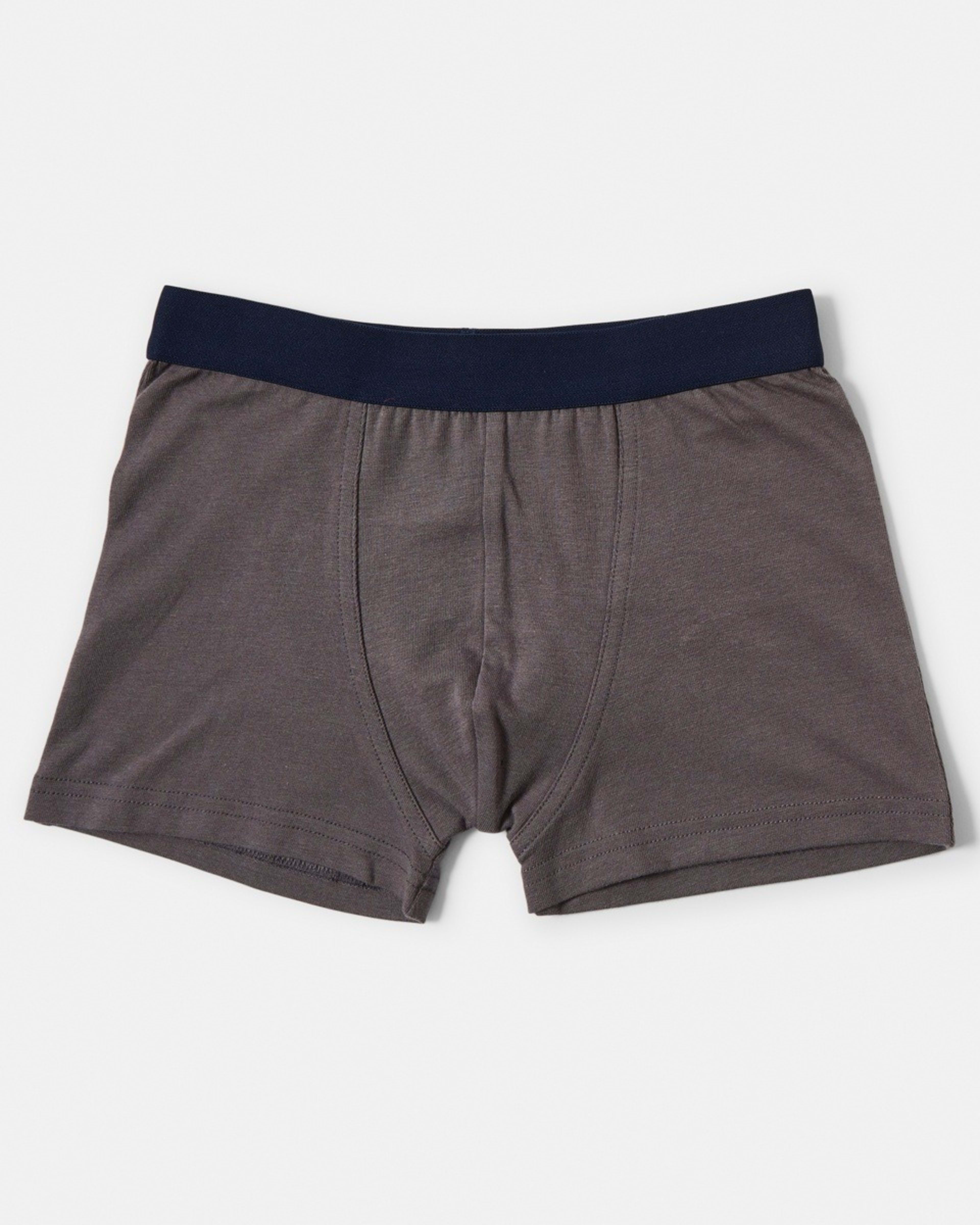 3 5 Pack Print Trunks DINOS, 3 of 7