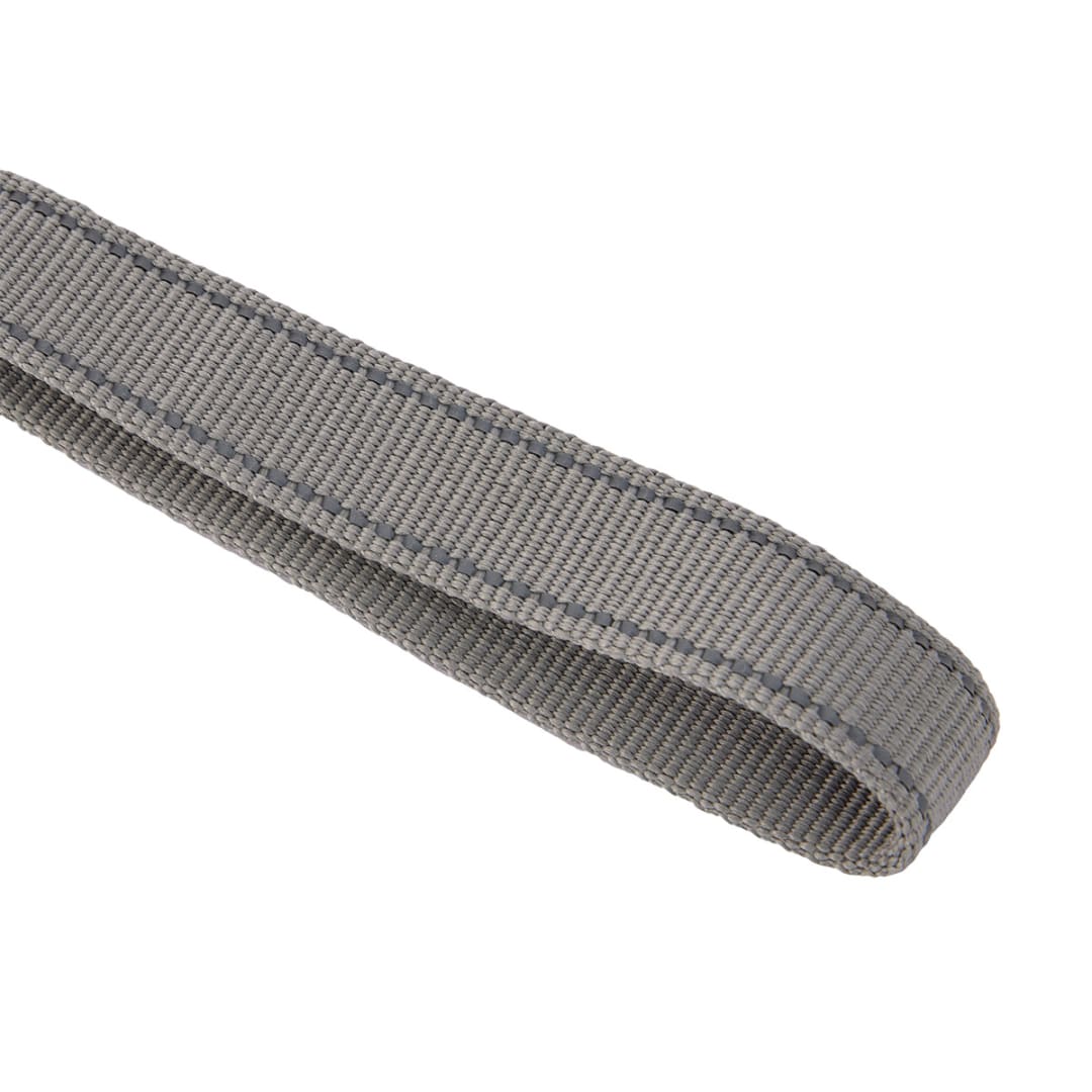 Dog Bungee Lead Kmart