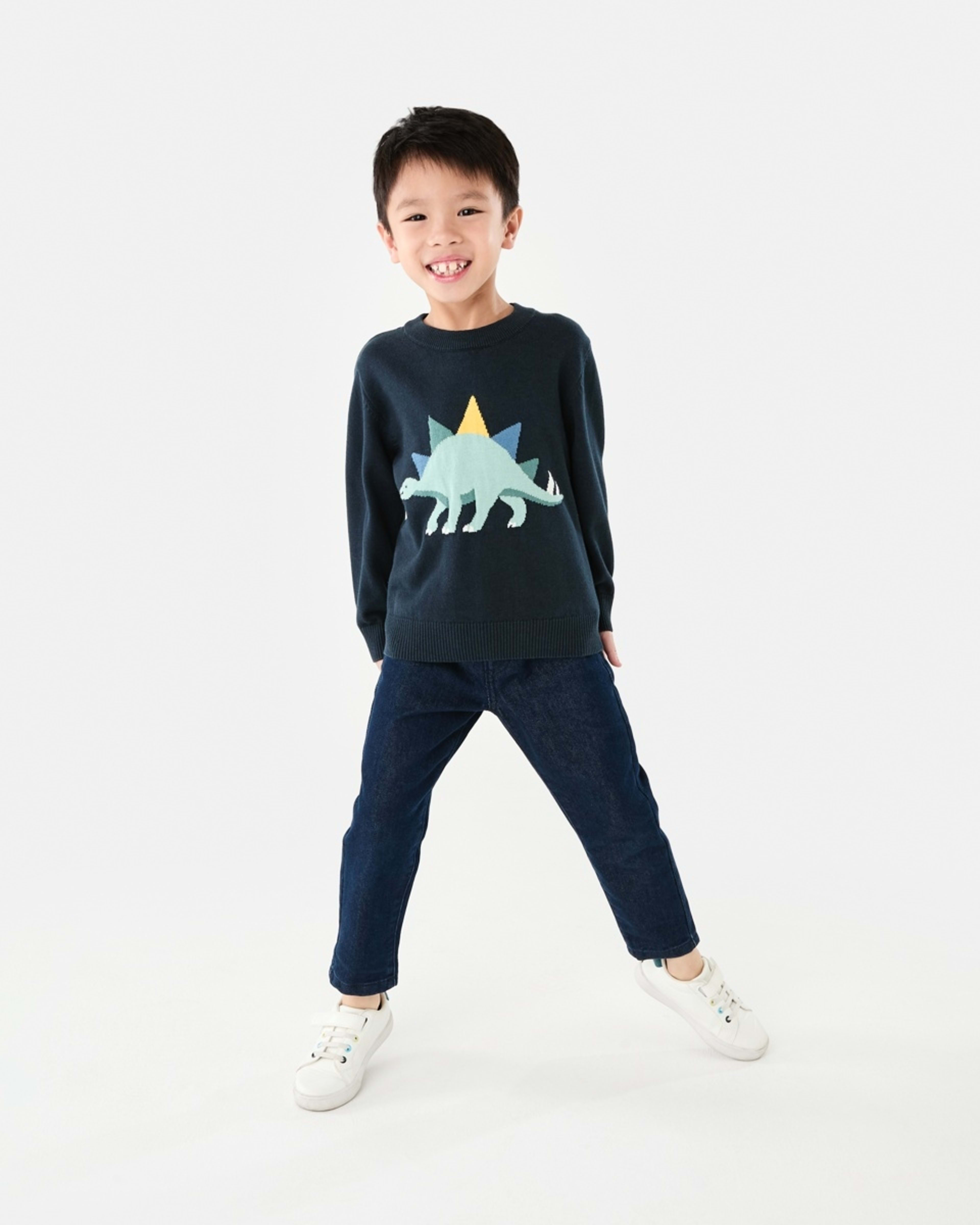 6 Jacquard Crew Neck Top Blue Dino, 6 of 9