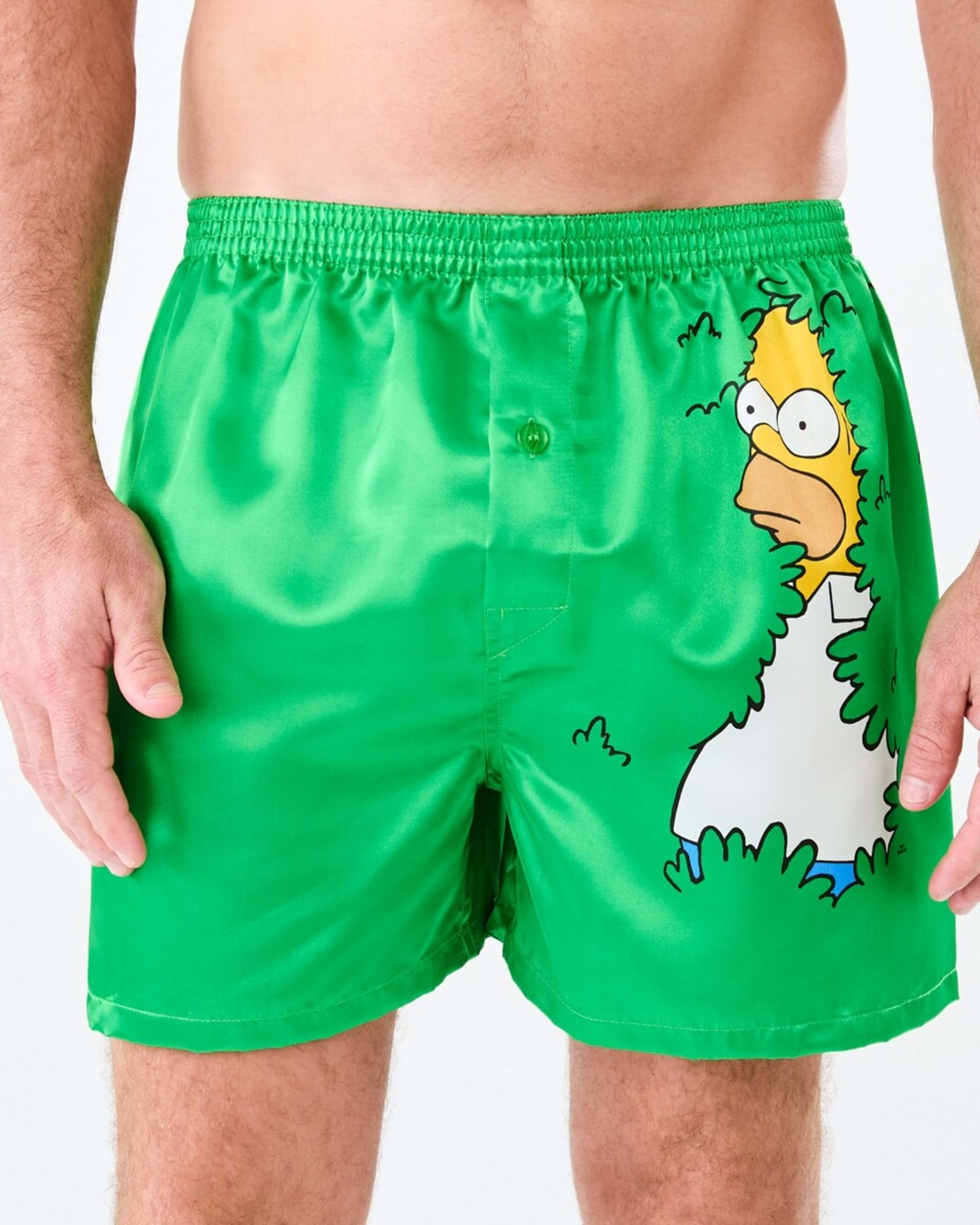 1 Simpsons License Boxers Simpsons Homer Bush