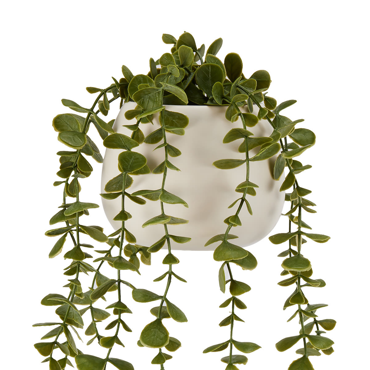 Artificial Trailing Plant in Pot Kmart NZ