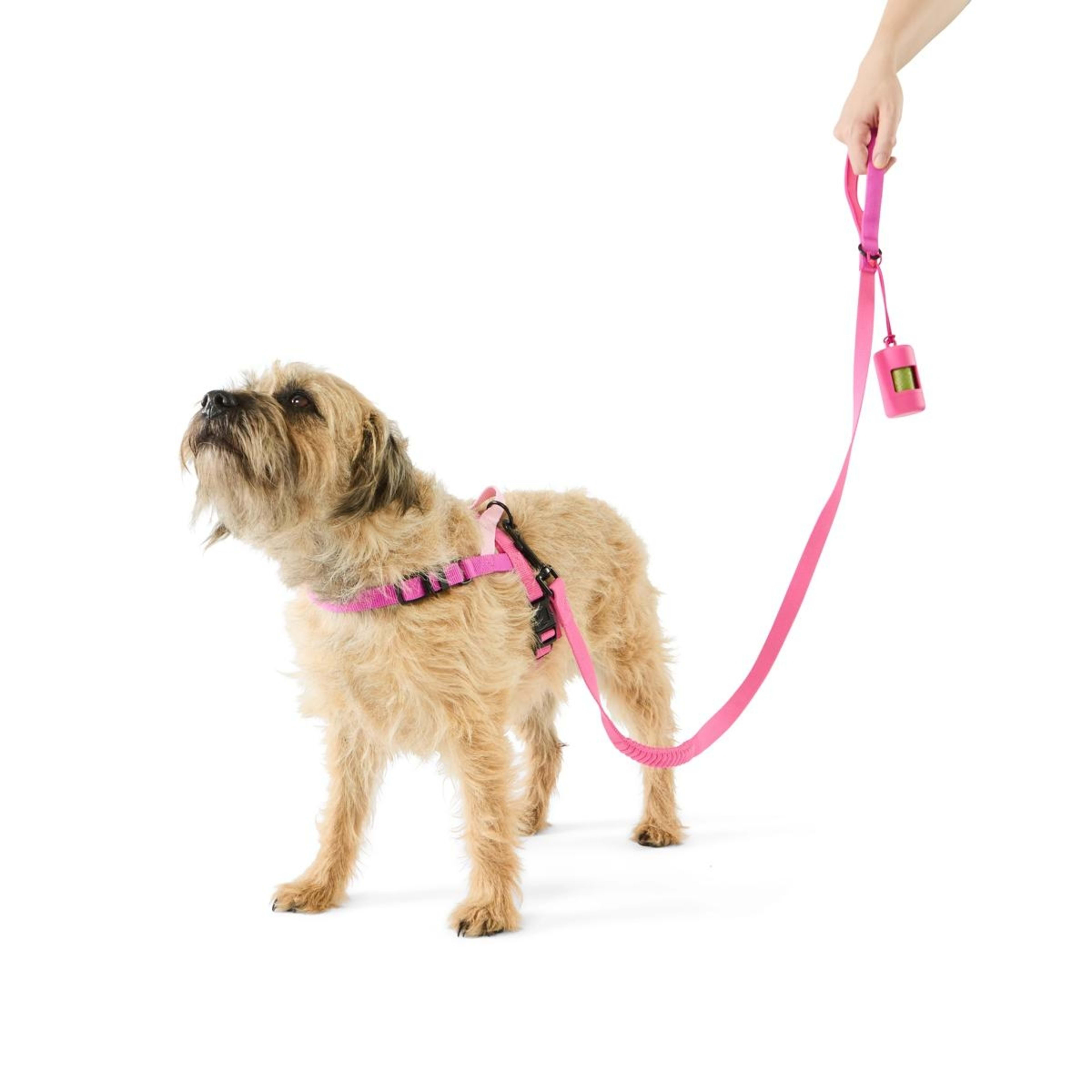 1 Pet Walking Set - Small, Pink