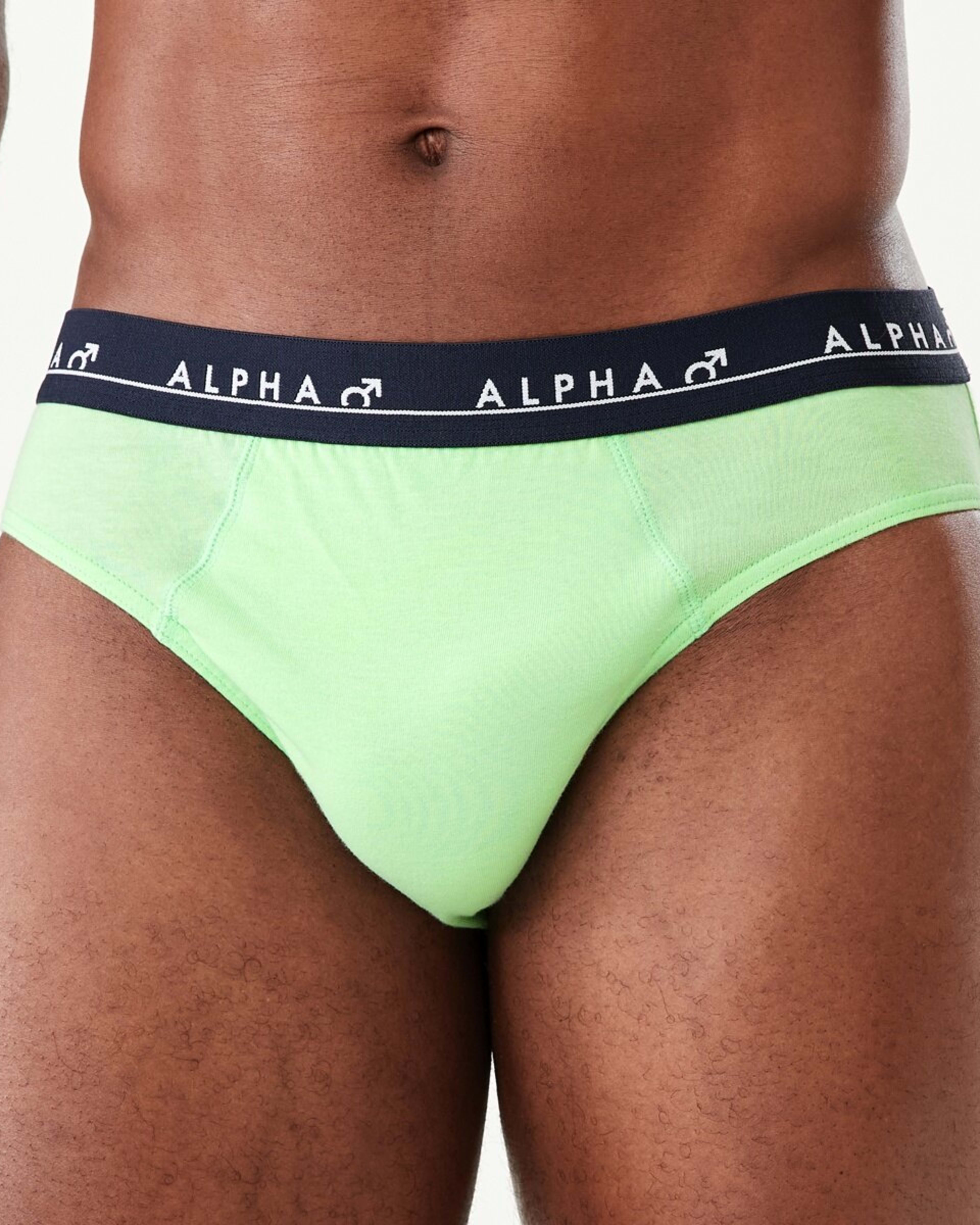 5 5 Pack Alpha Attached Elastic Hipster Briefs LIGHTSCAPE, 5 of 10