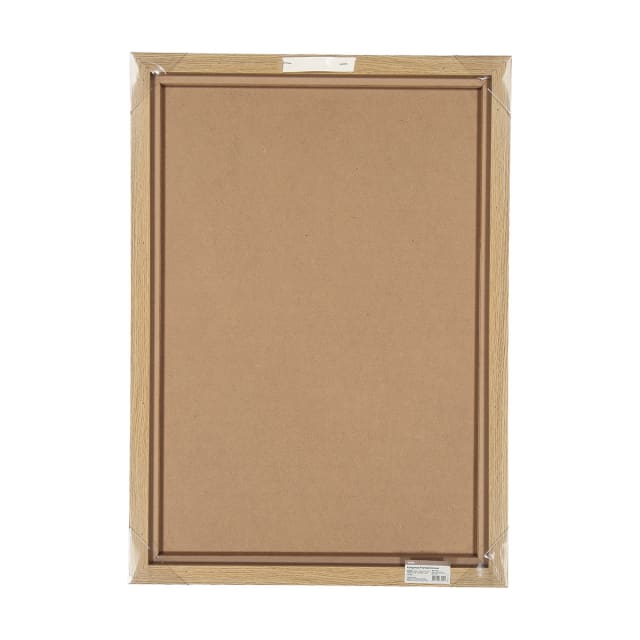 Kangaroo Framed Canvas Kmart